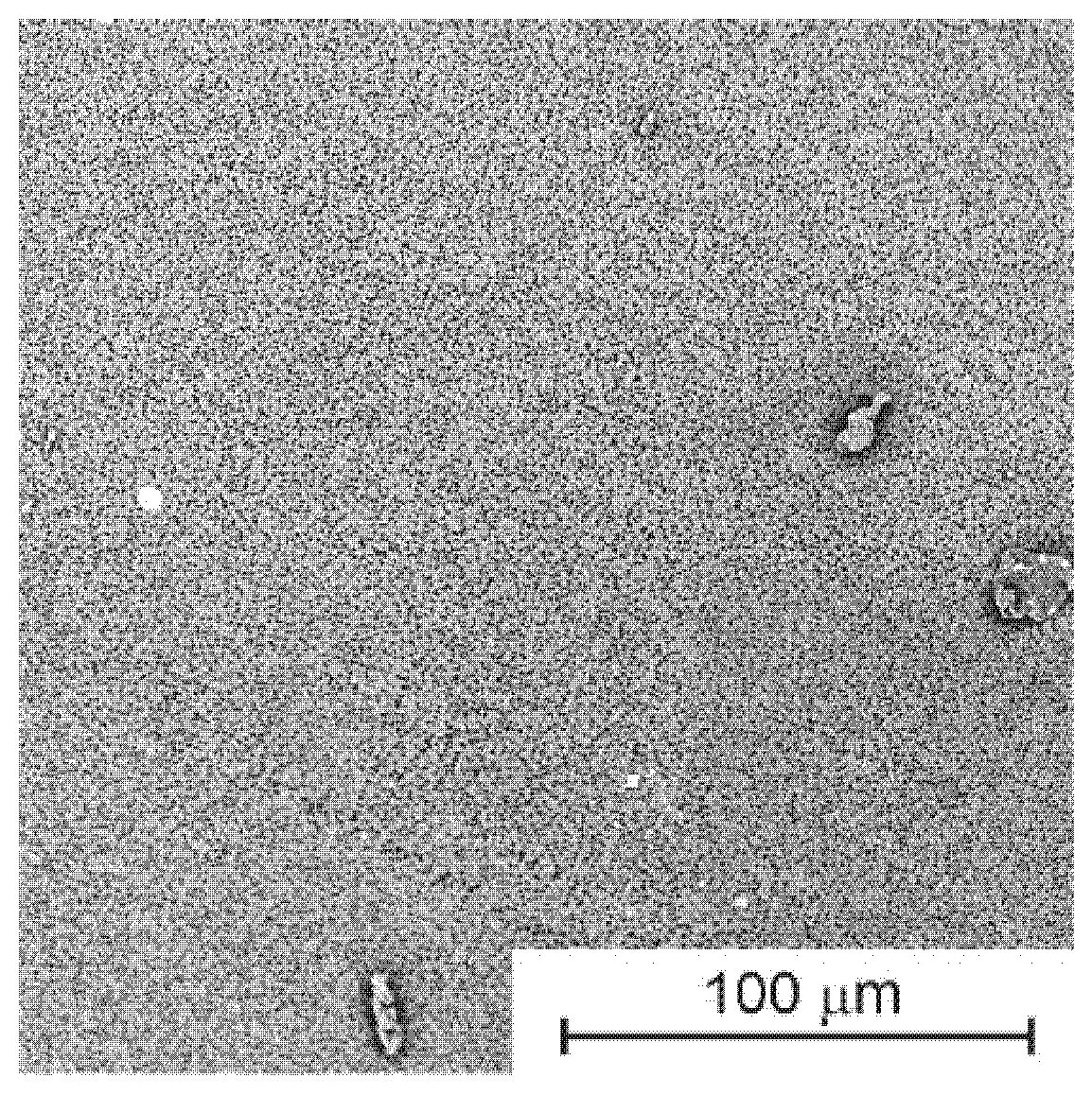 Membranes 13 00044 g002