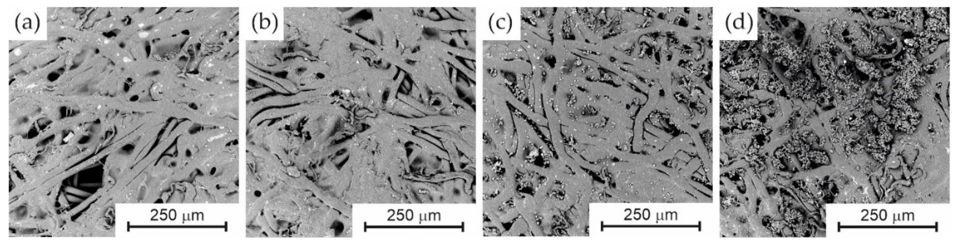Membranes 13 00044 g003