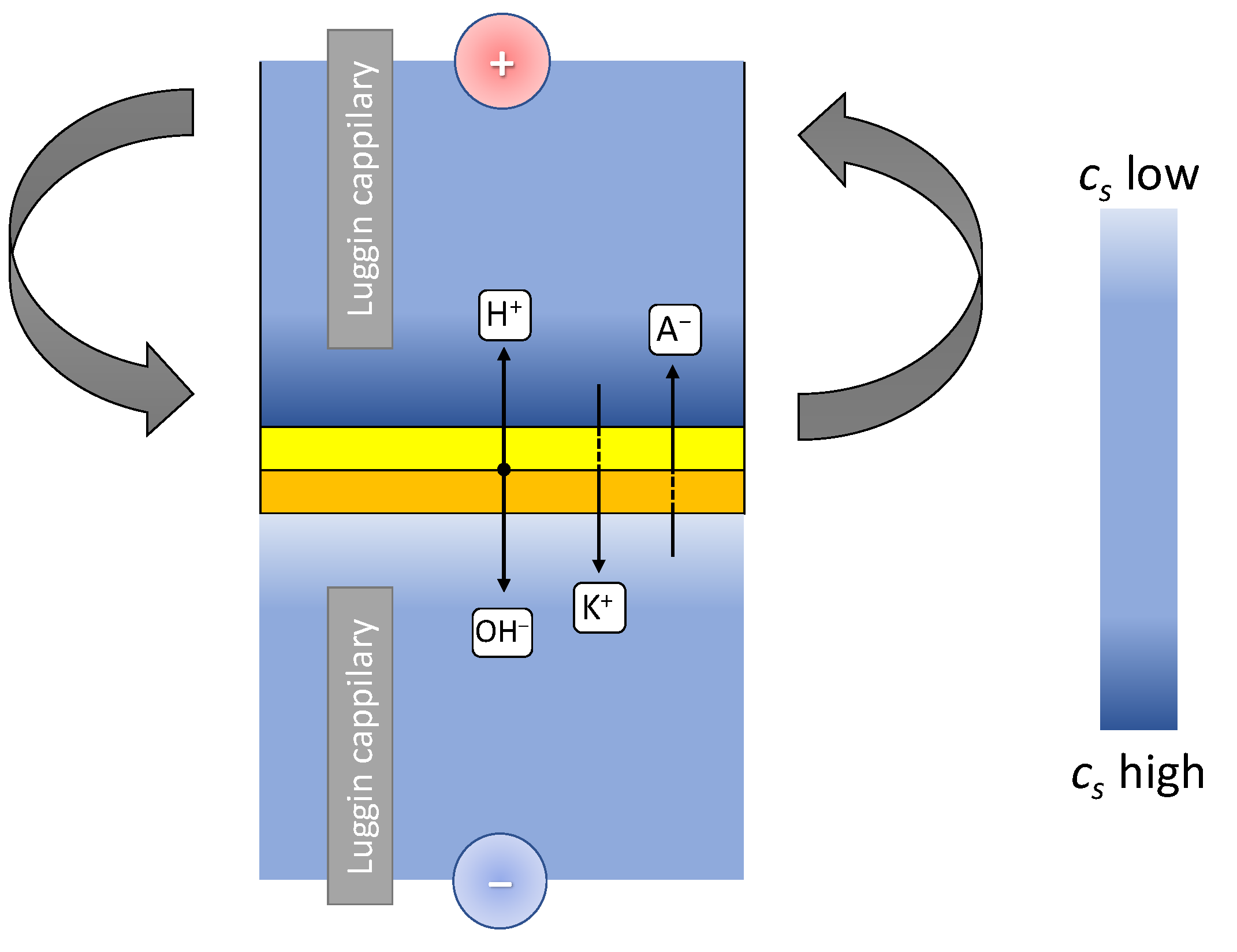 Membranes 13 00047 g004