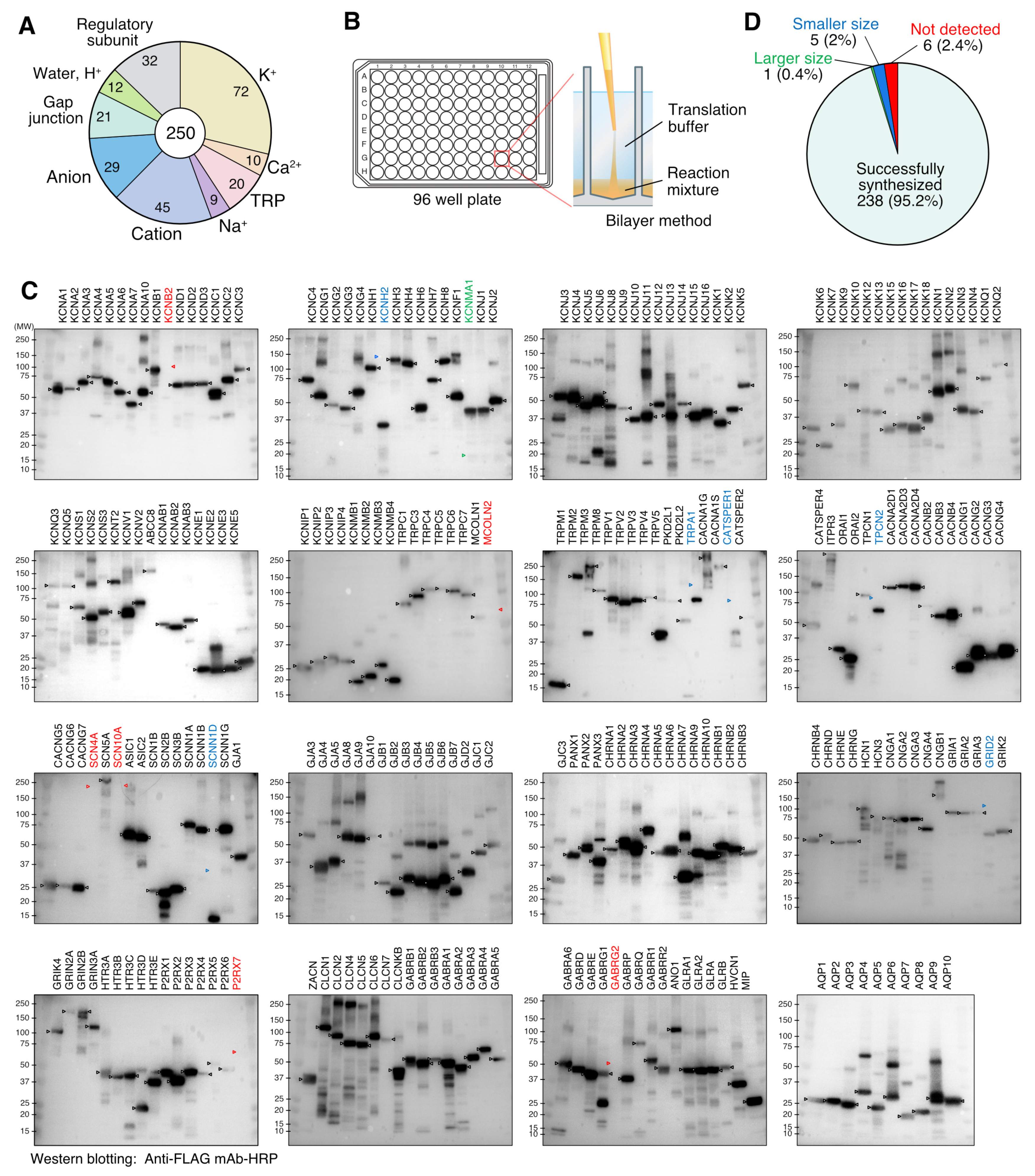 Membranes 13 00048 g003