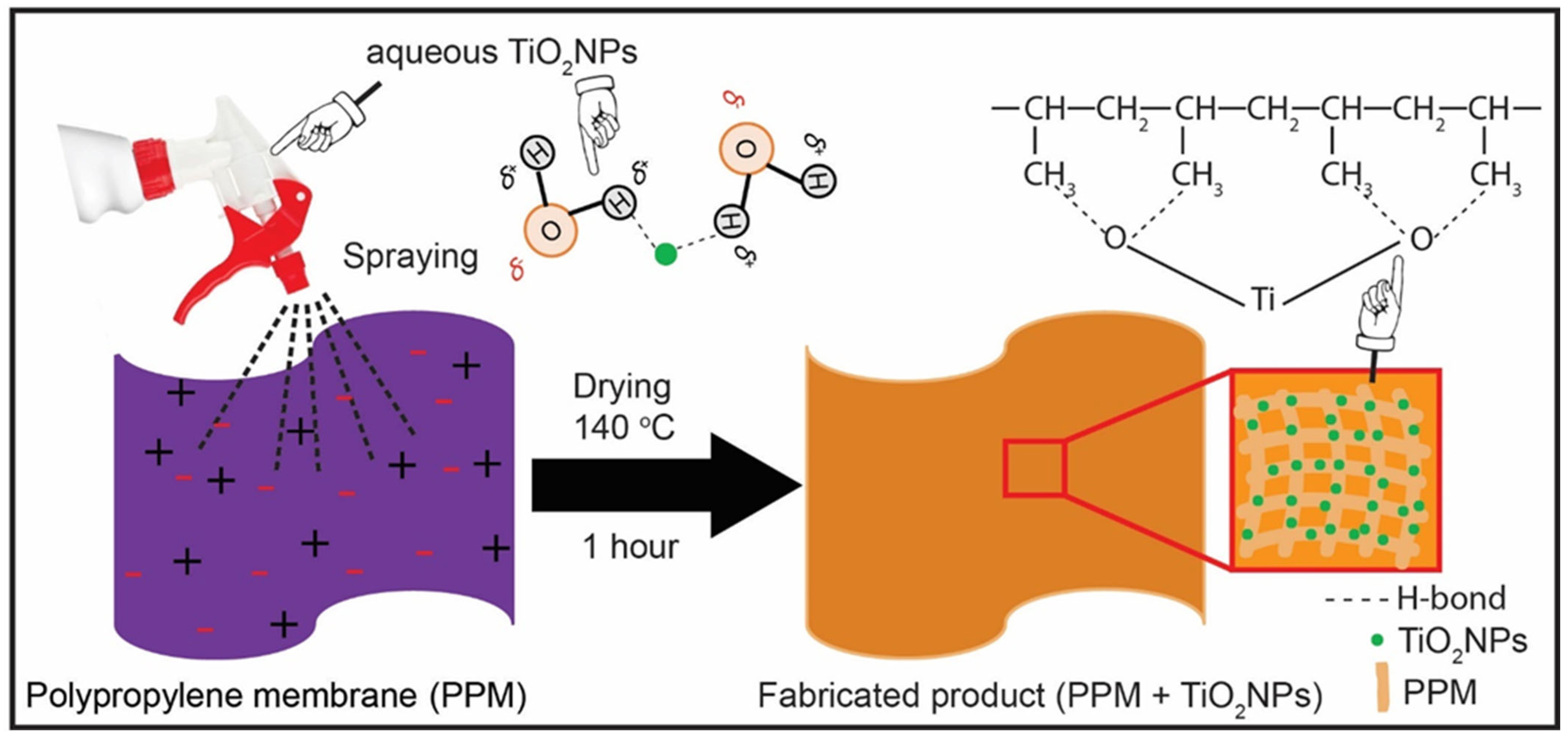 Membranes 13 00050 g001