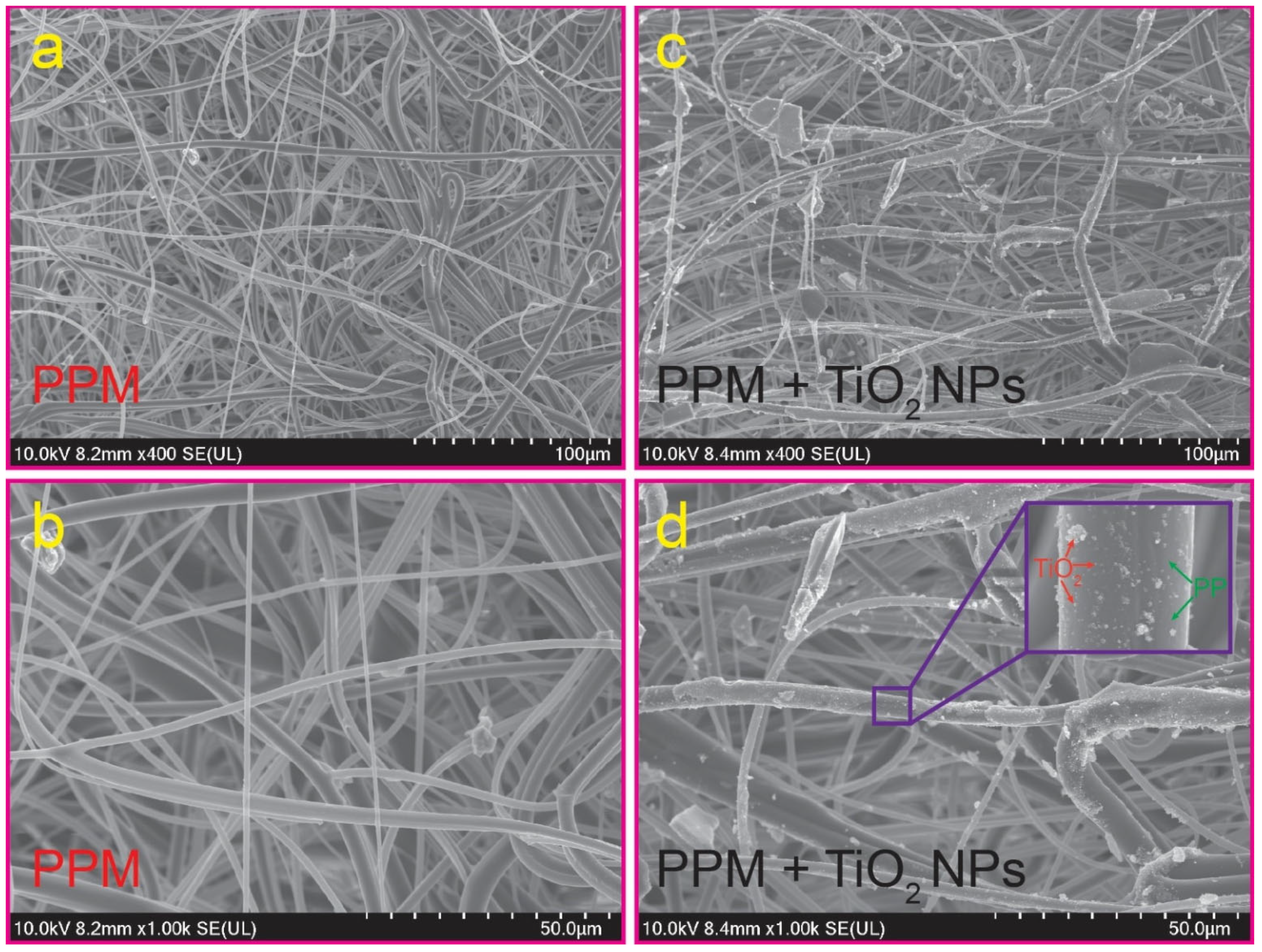 Membranes 13 00050 g002
