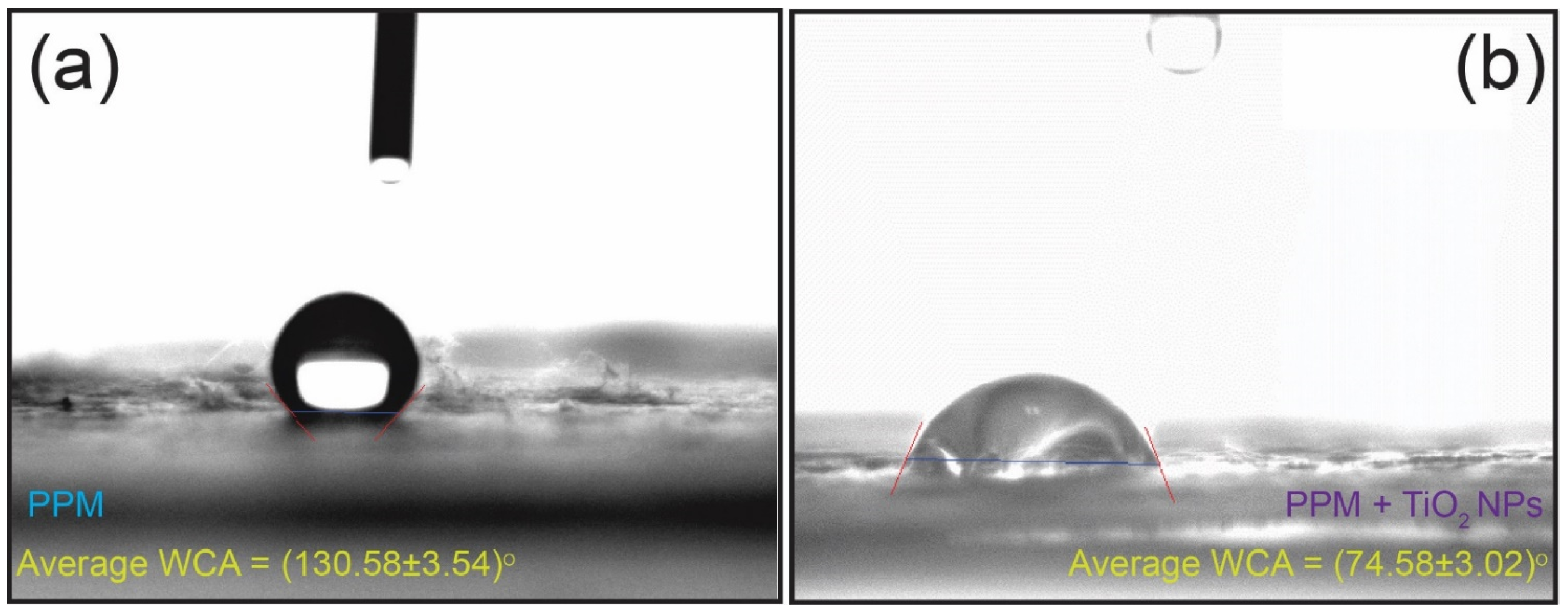 Membranes 13 00050 g012