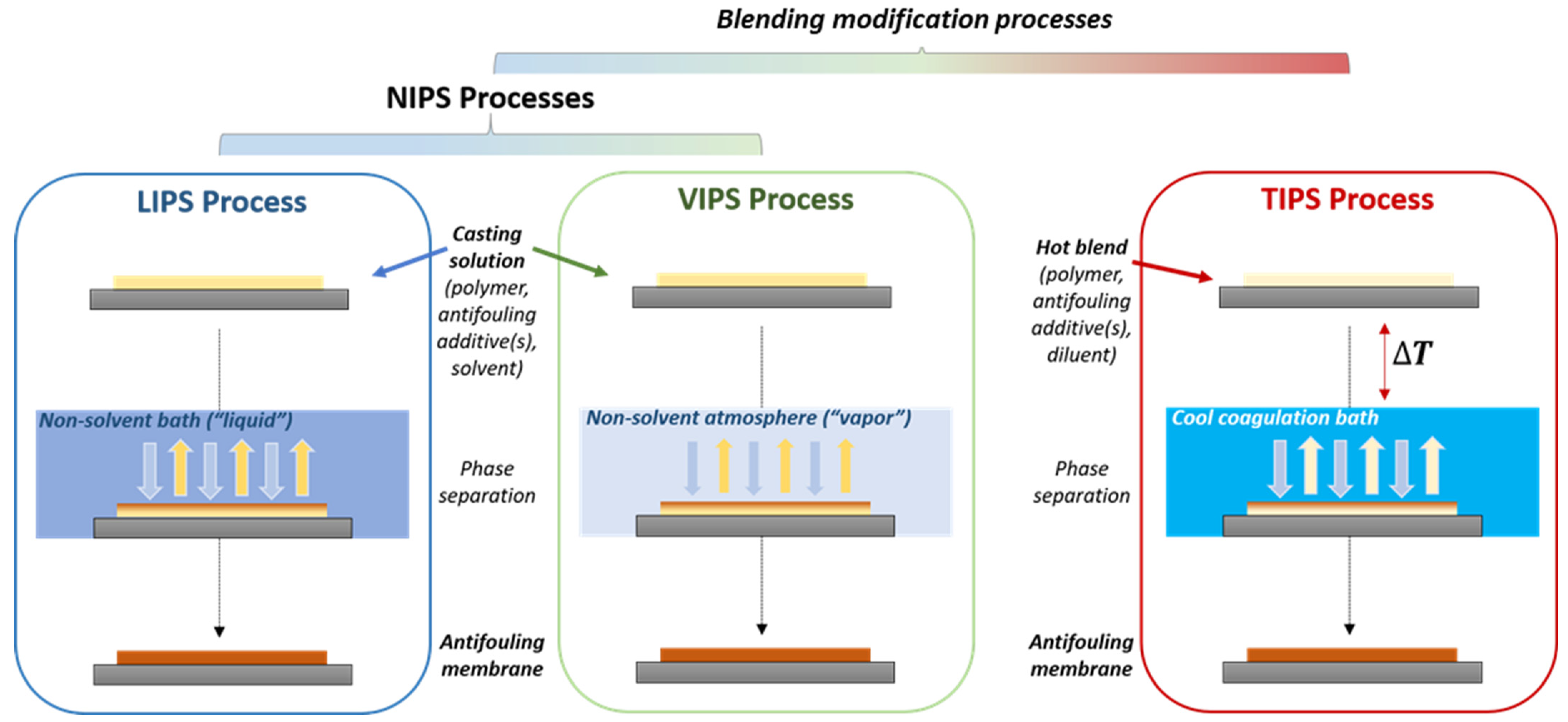 Membranes 13 00058 g001