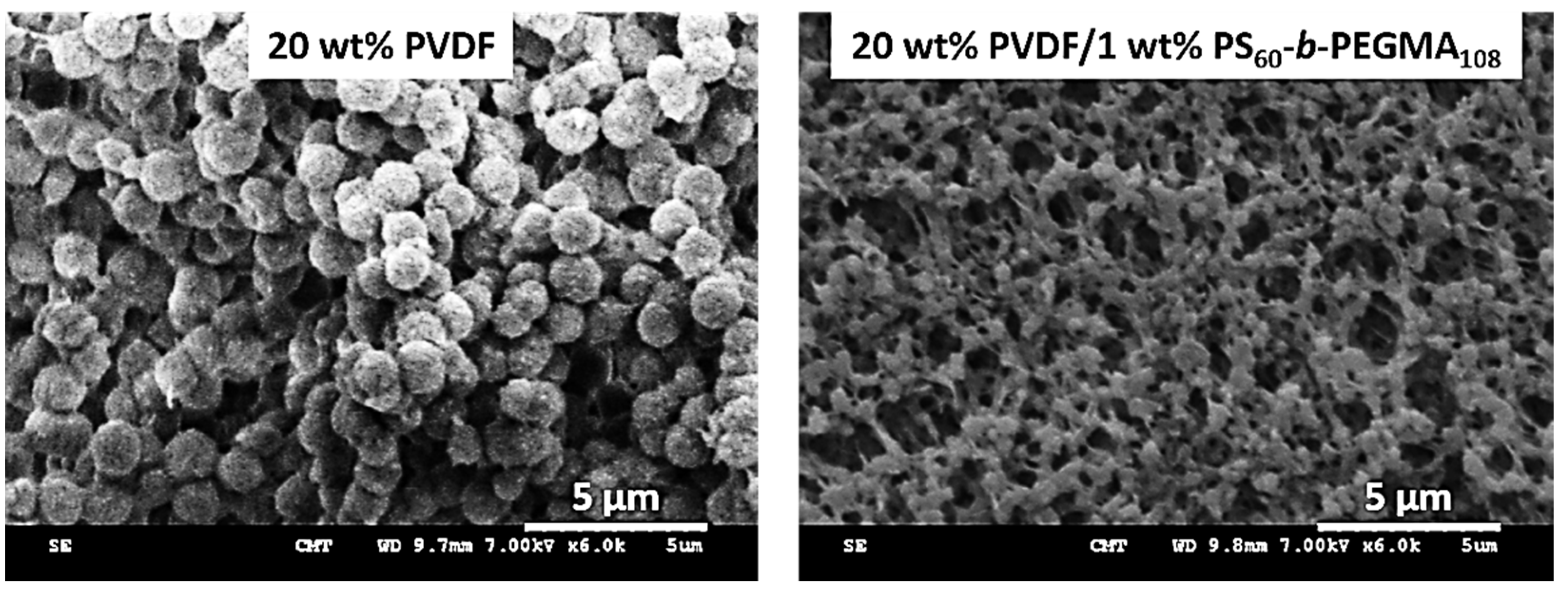 Membranes 13 00058 g006