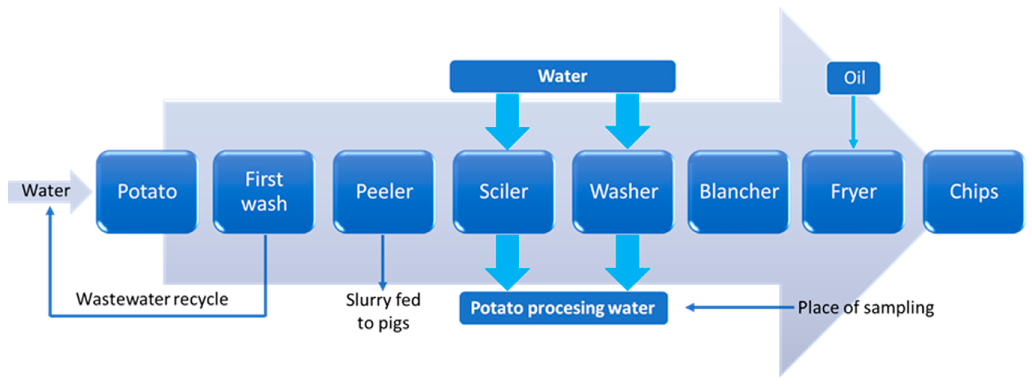 Membranes 13 00059 g002
