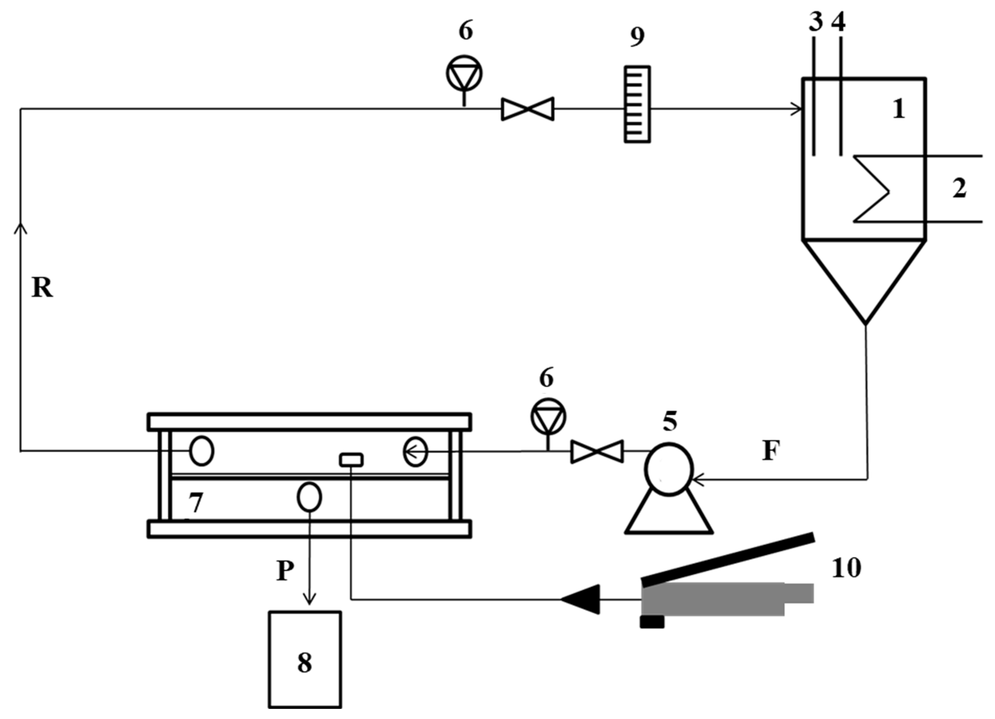 Membranes 13 00059 g003
