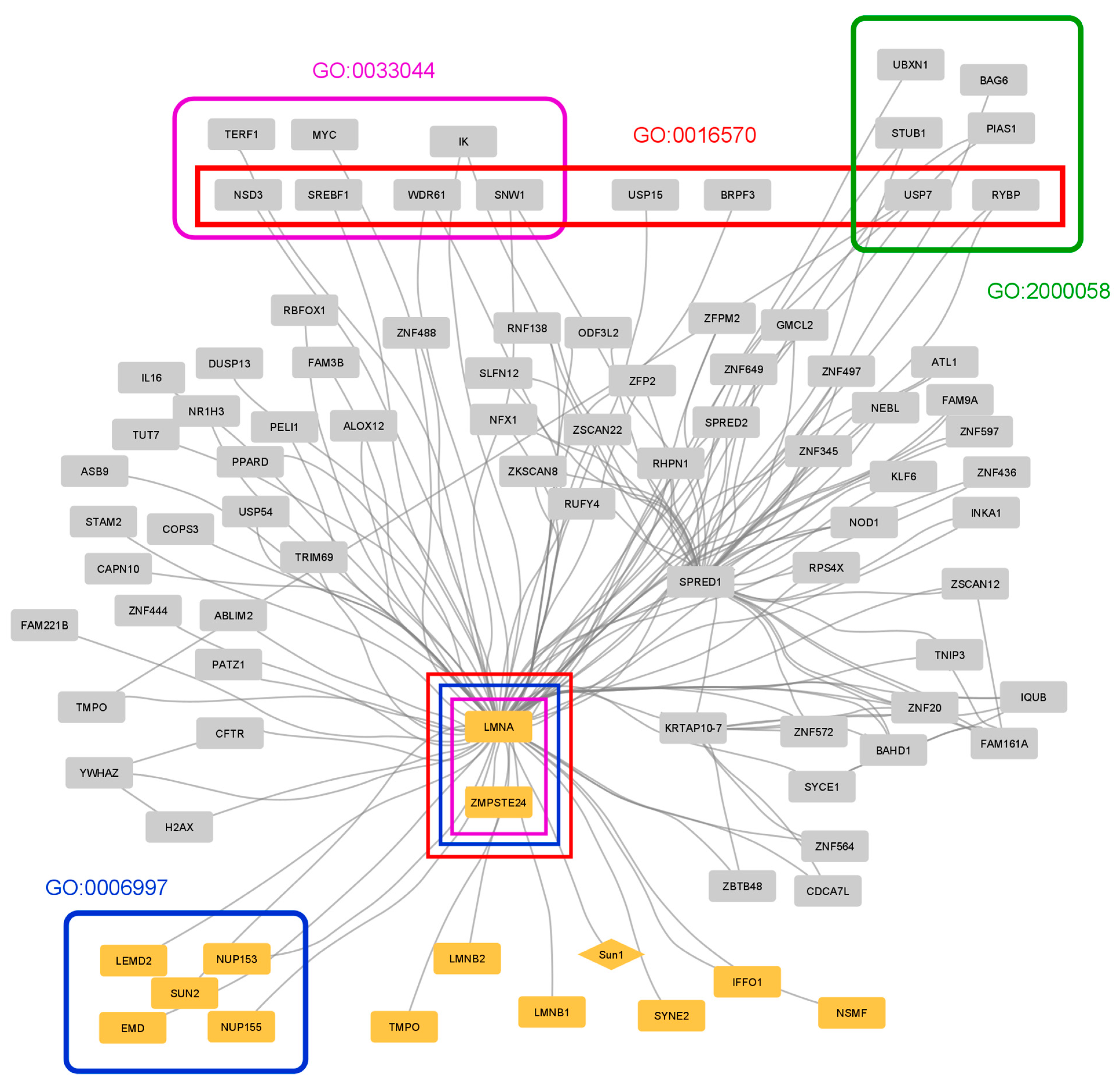 Membranes 13 00062 g004