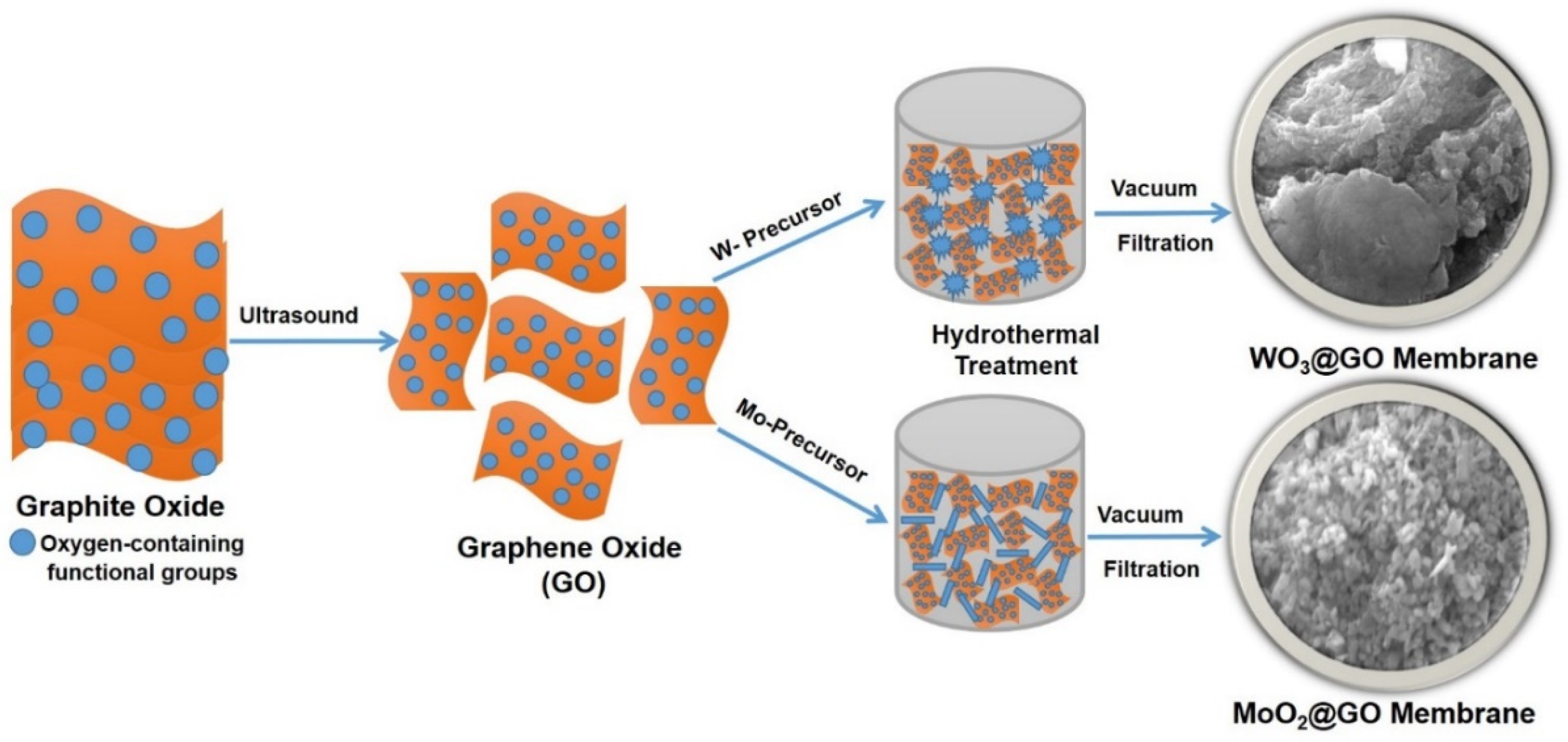 Membranes 13 00064 sch001