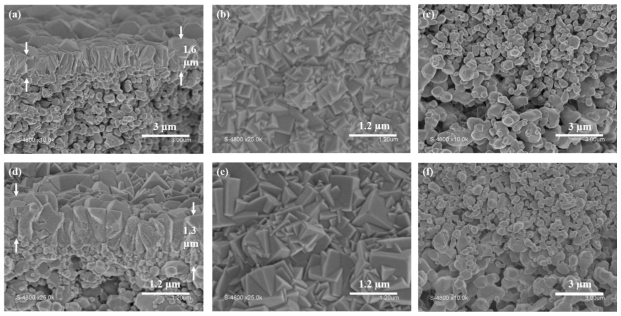 Membranes 13 00065 g002