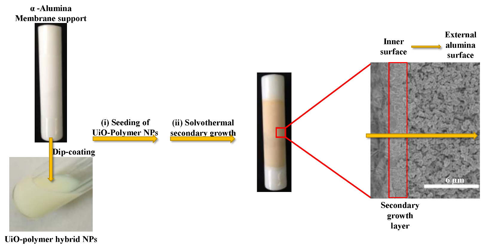 Membranes 13 00065 sch001
