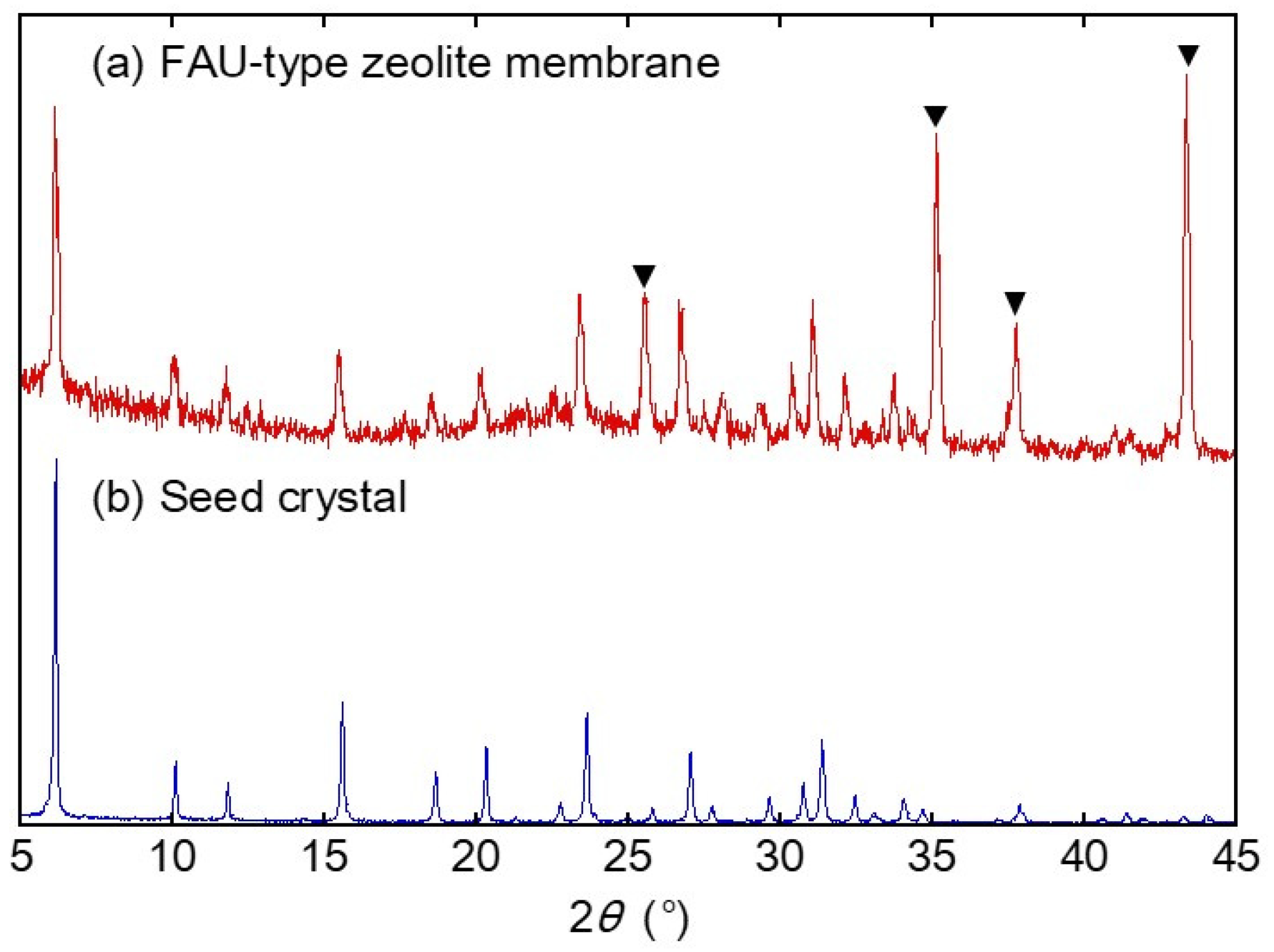 Membranes 13 00068 g002