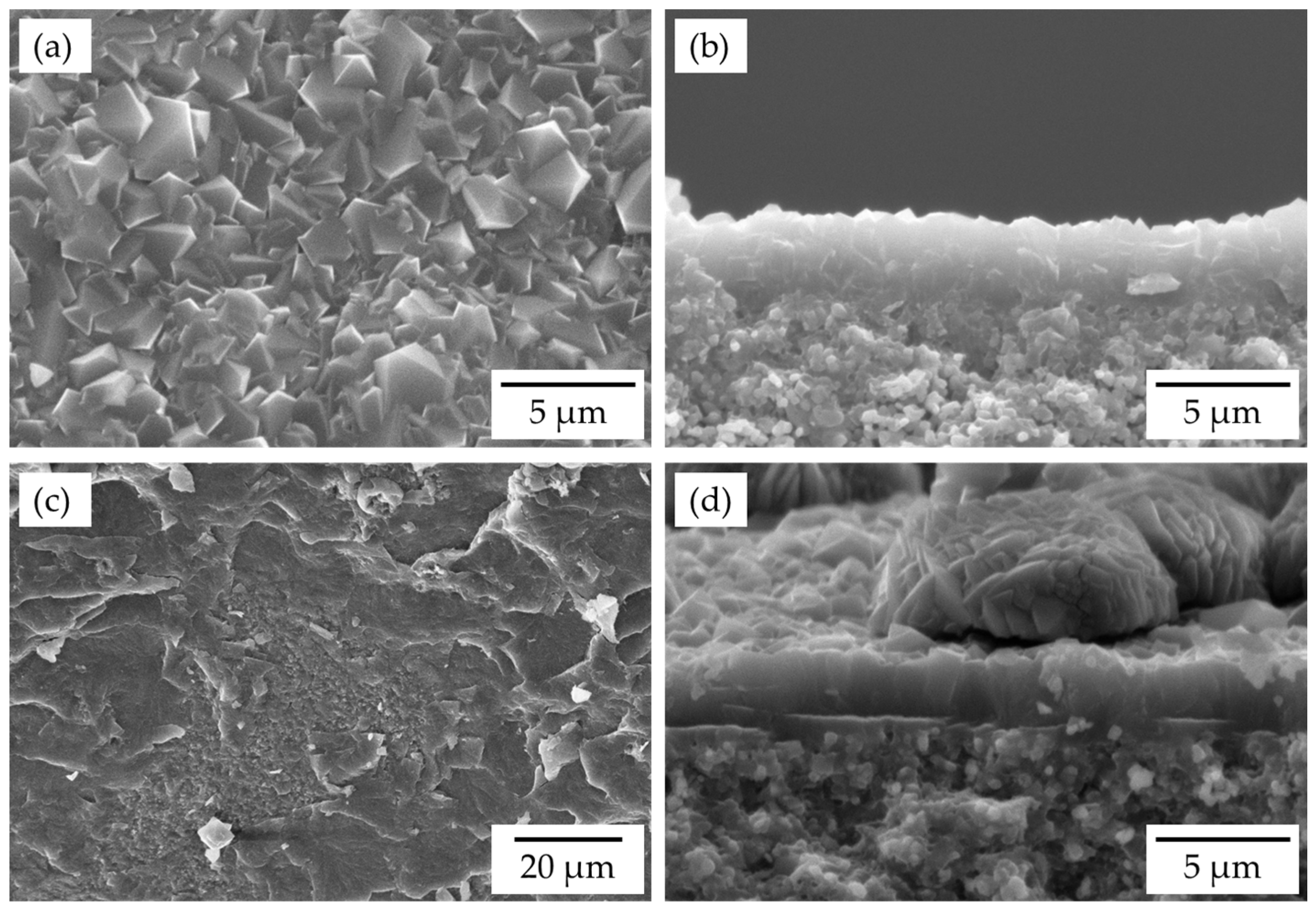 Membranes 13 00068 g007
