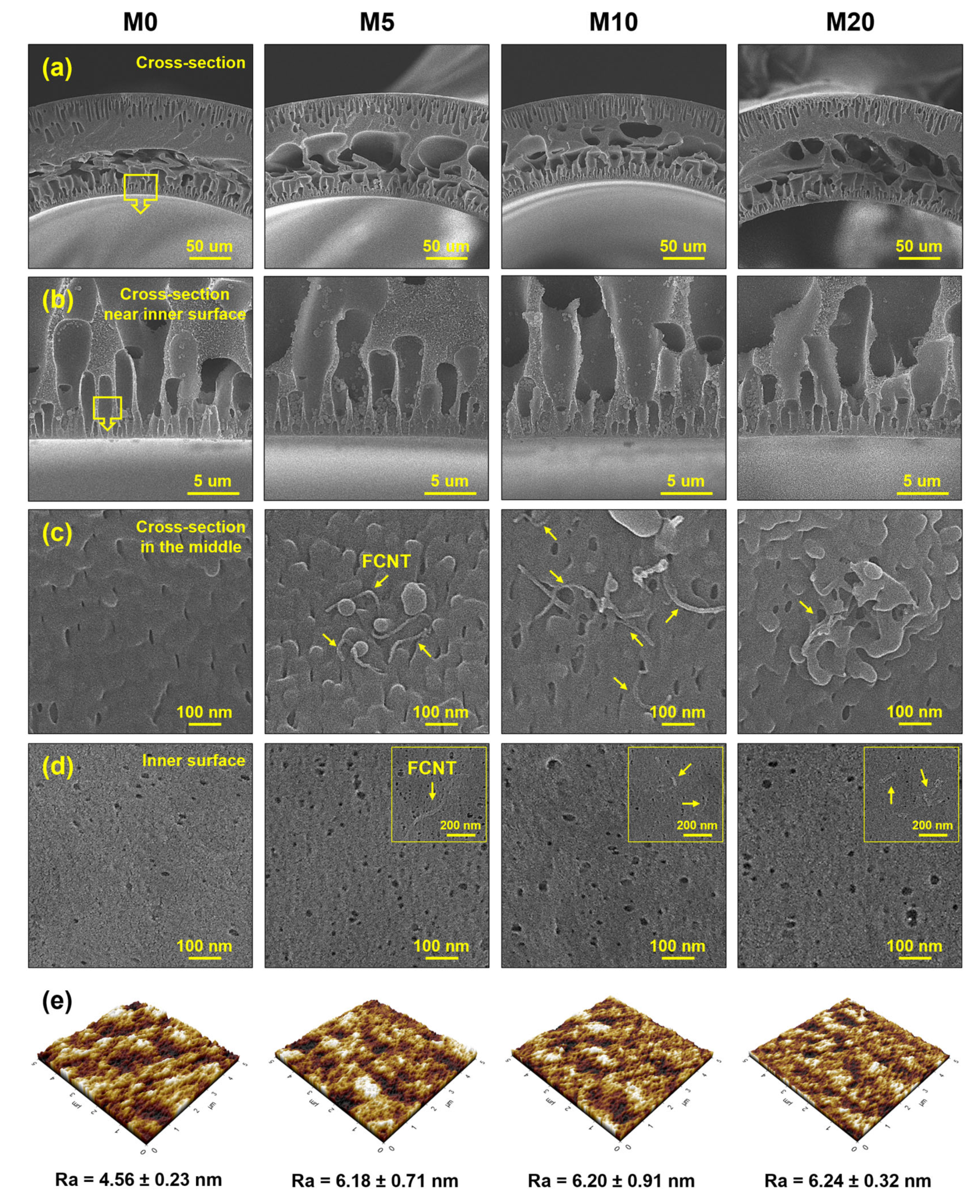 Membranes 13 00070 g003