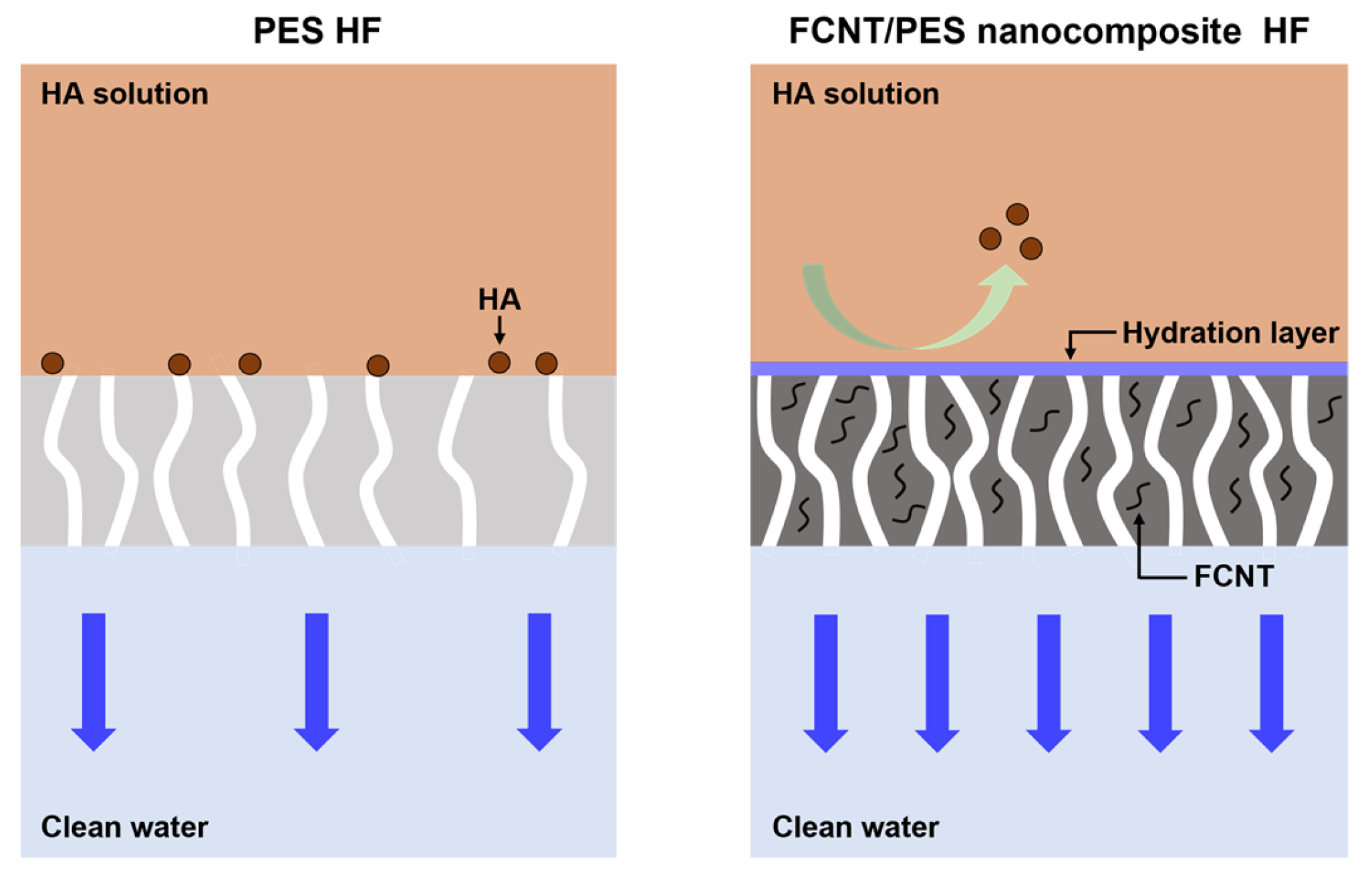 Membranes 13 00070 g008