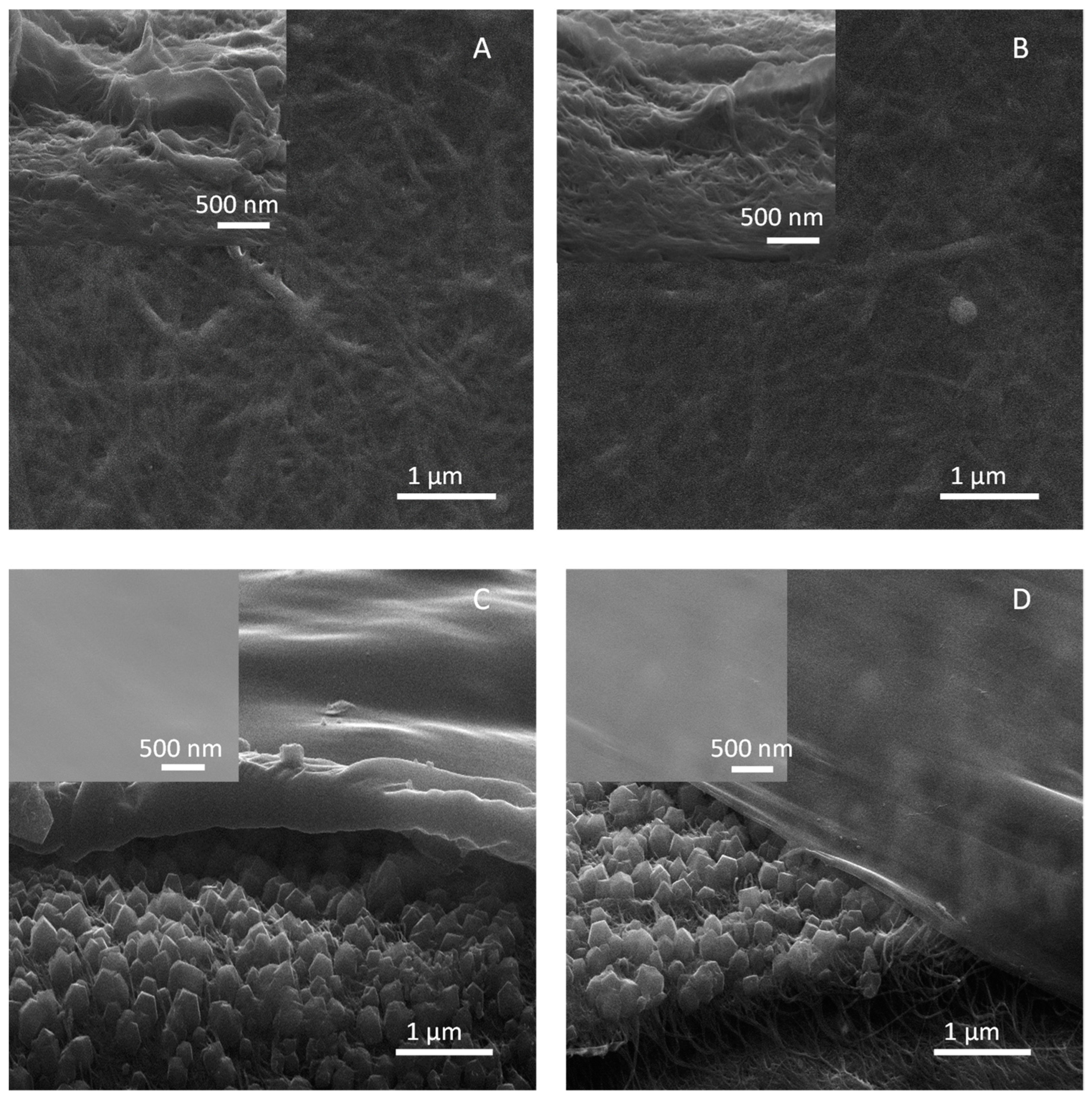 Membranes 13 00071 g002