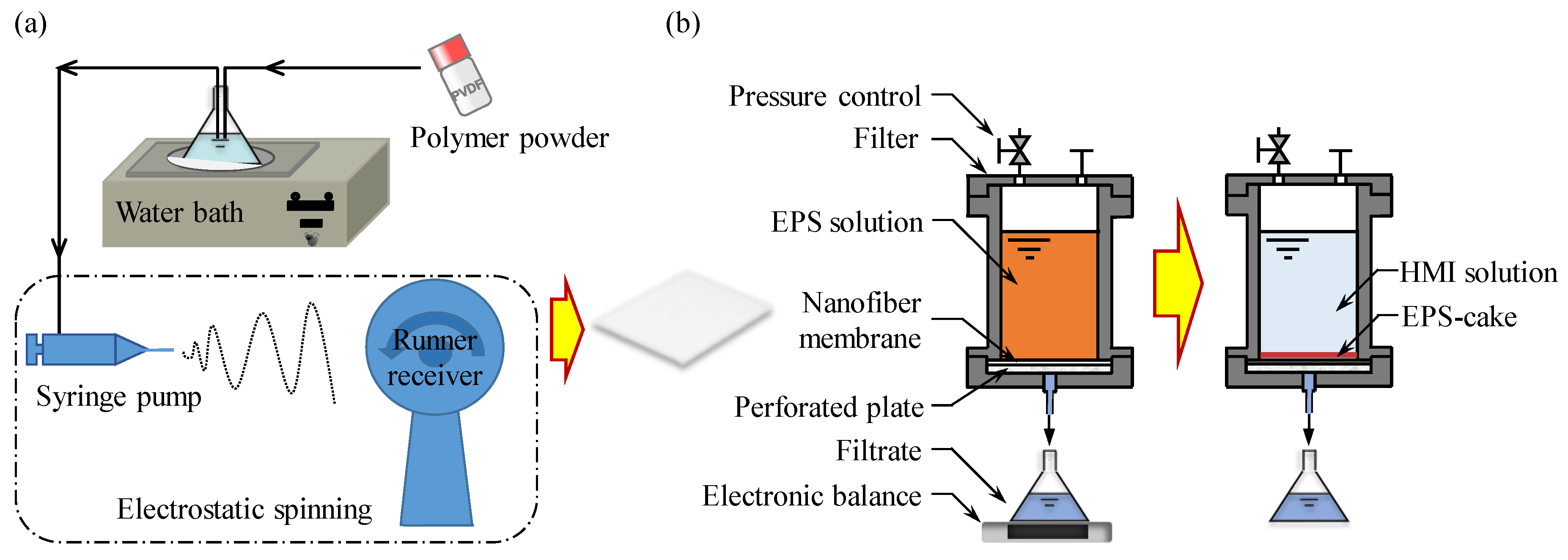 Membranes 13 00074 g001