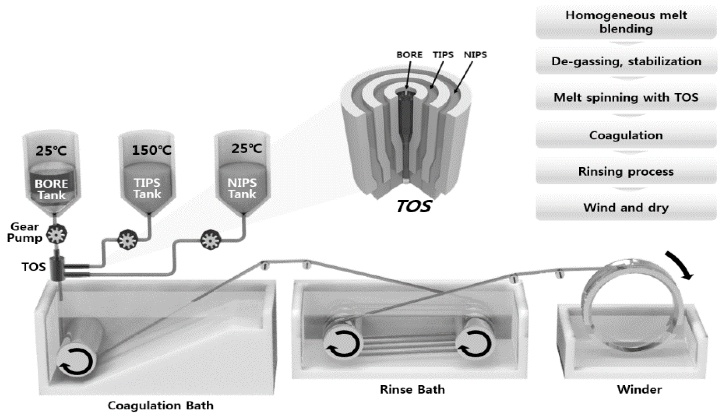 Membranes 13 00075 g003