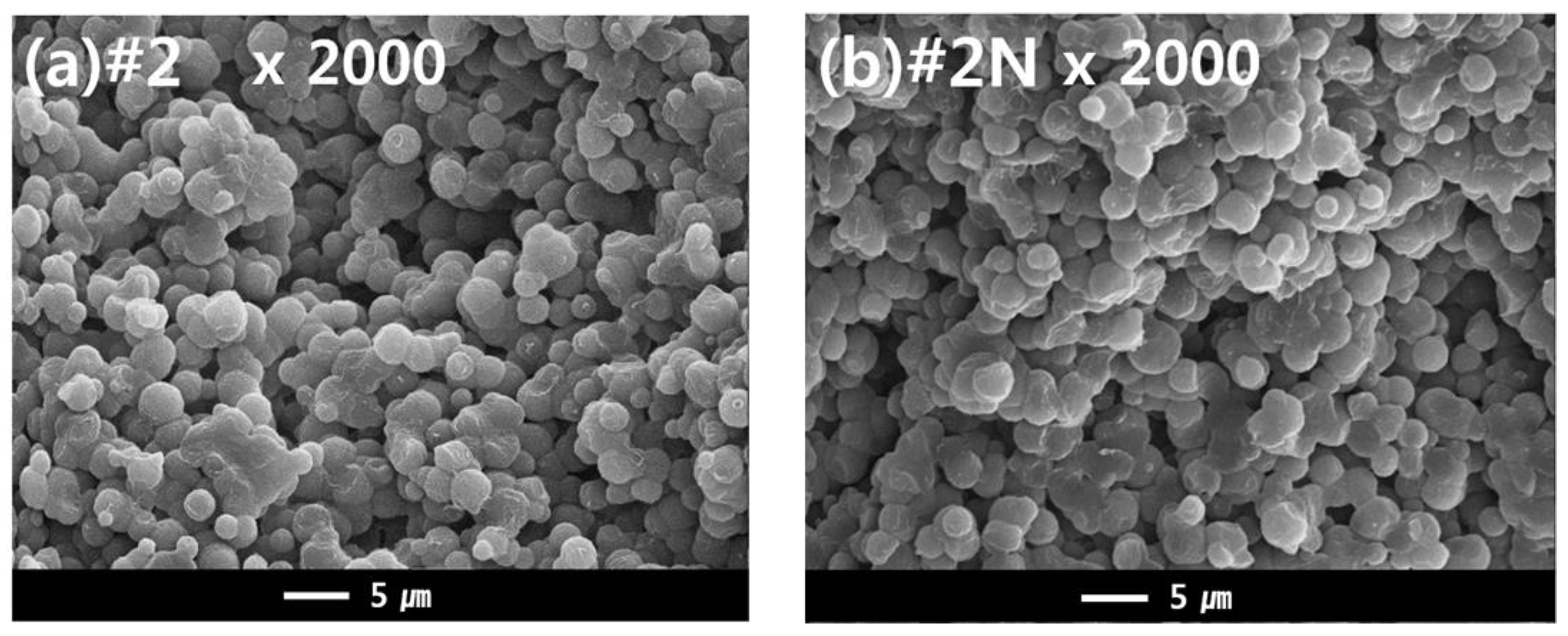 Membranes 13 00075 g009