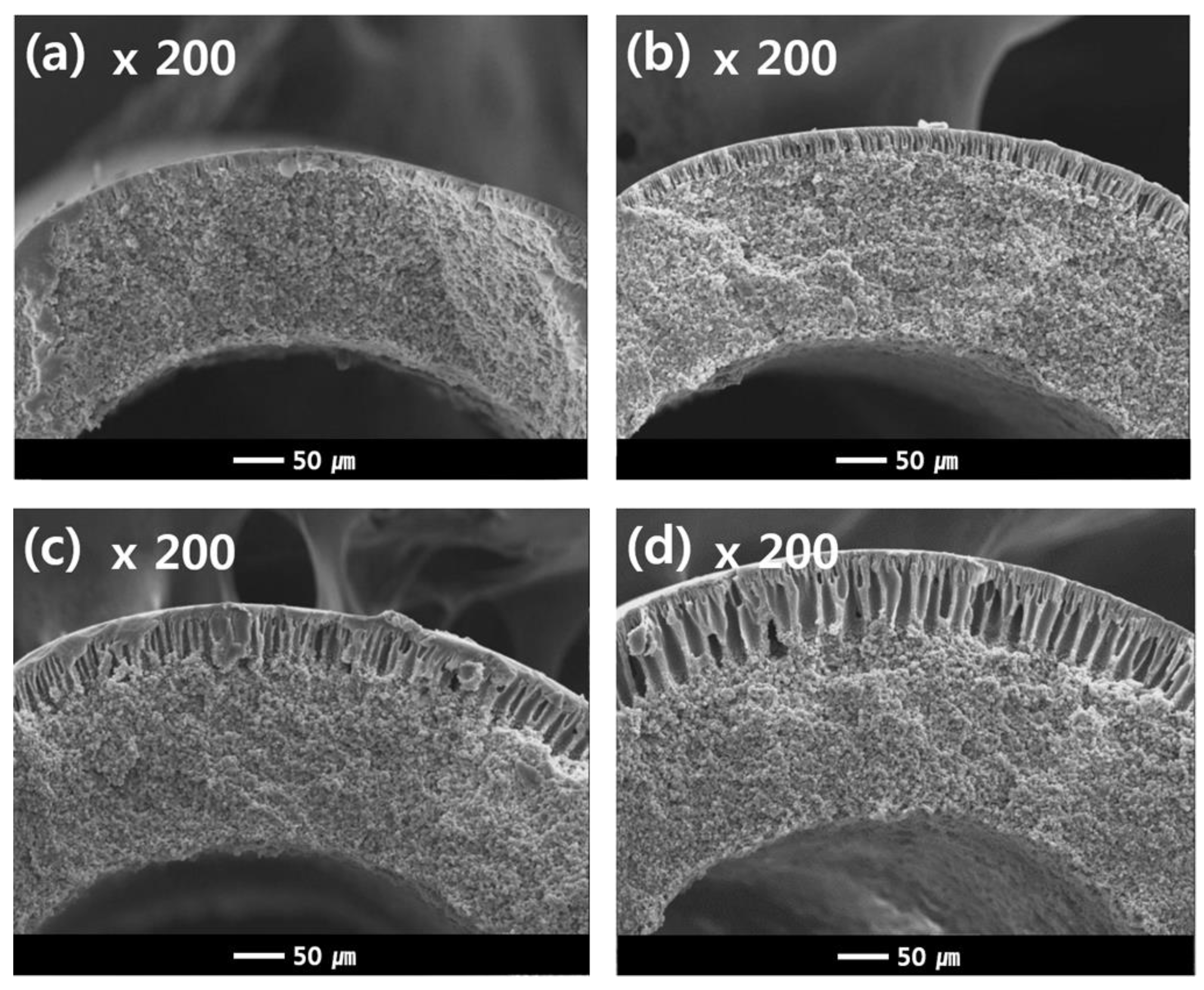 Membranes 13 00075 g012