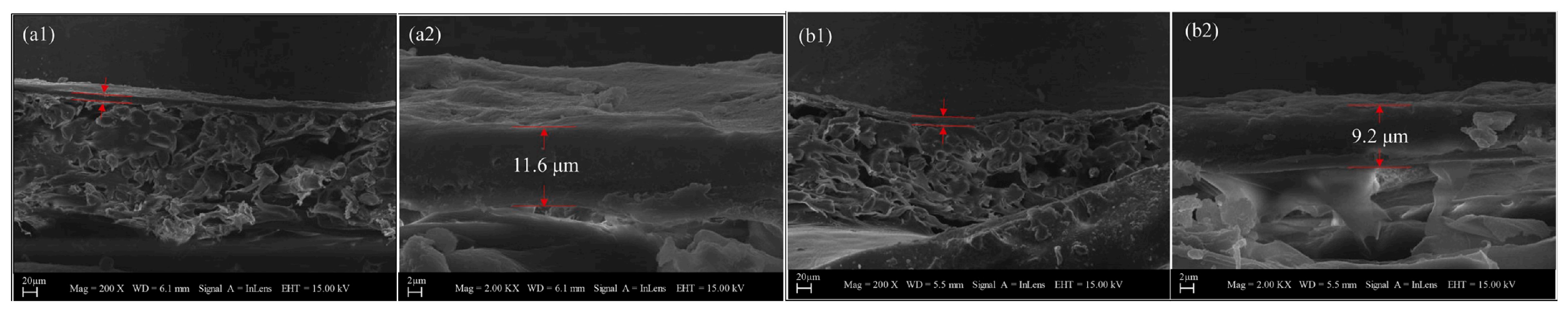 Membranes 13 00077 g005