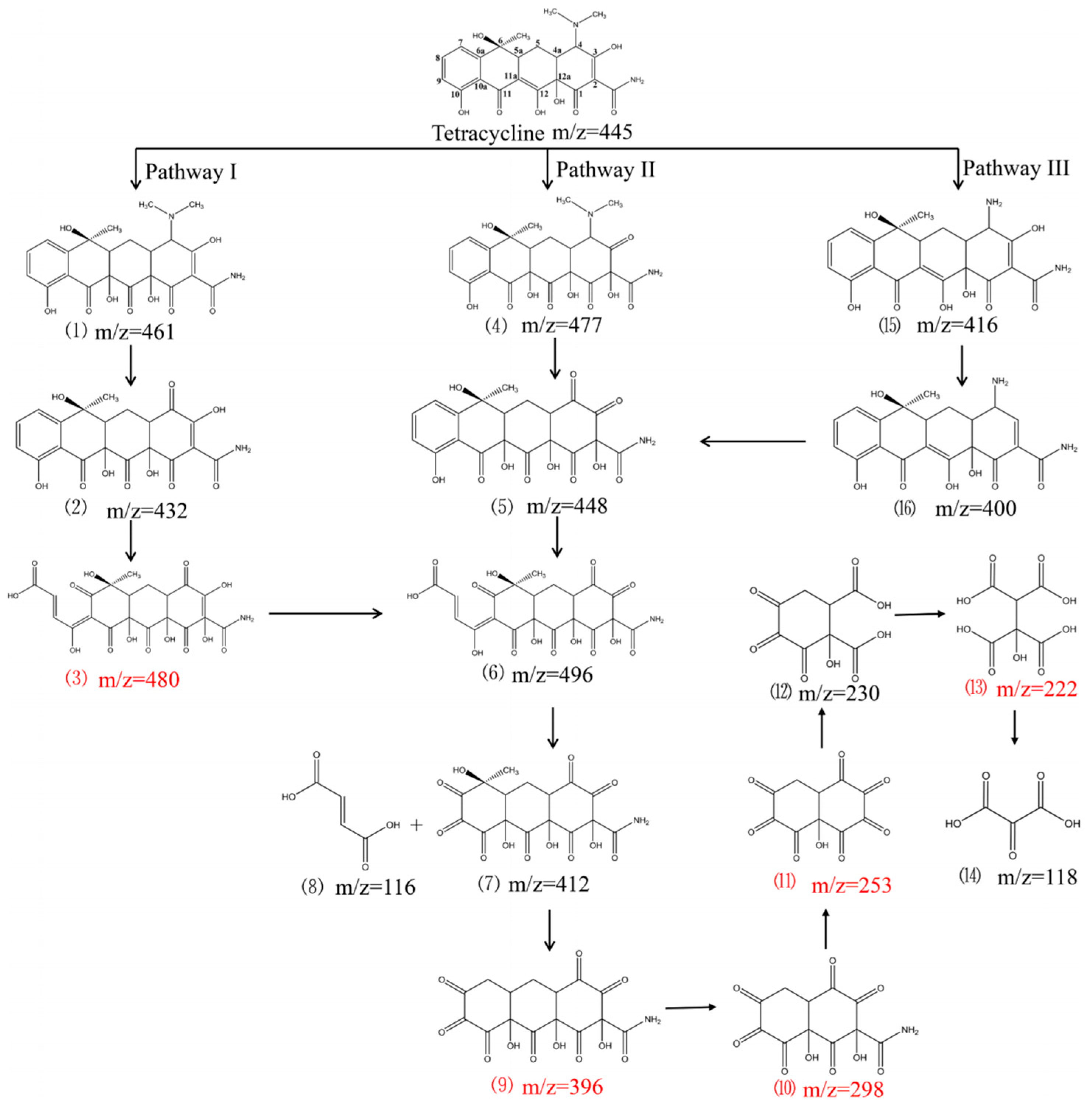 Membranes 13 00077 g006