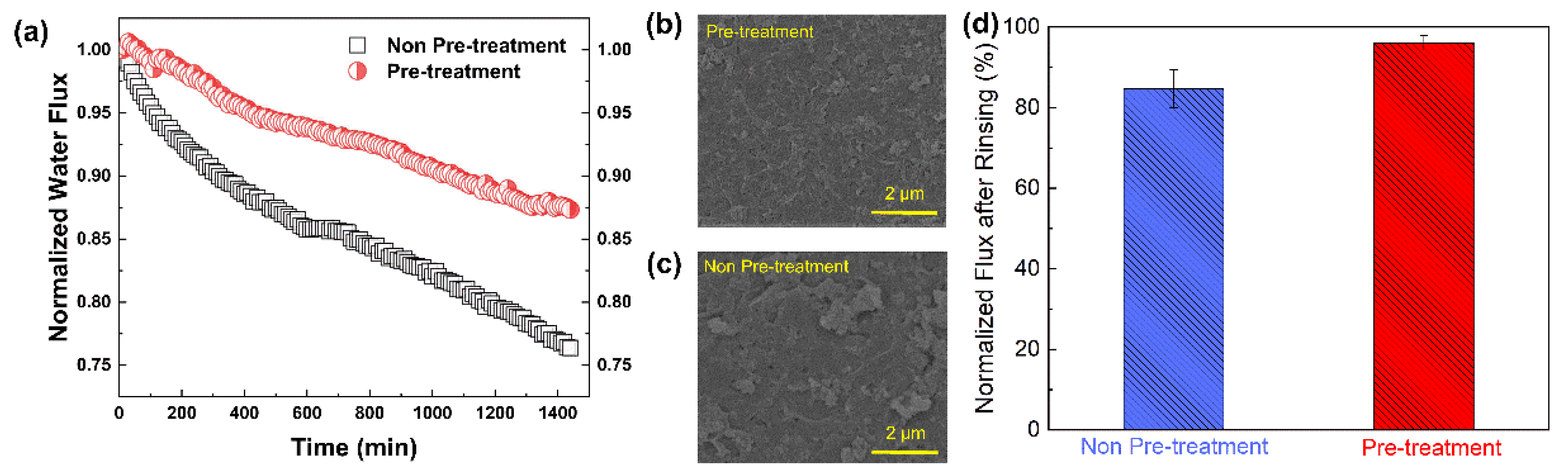 Membranes 13 00078 g010
