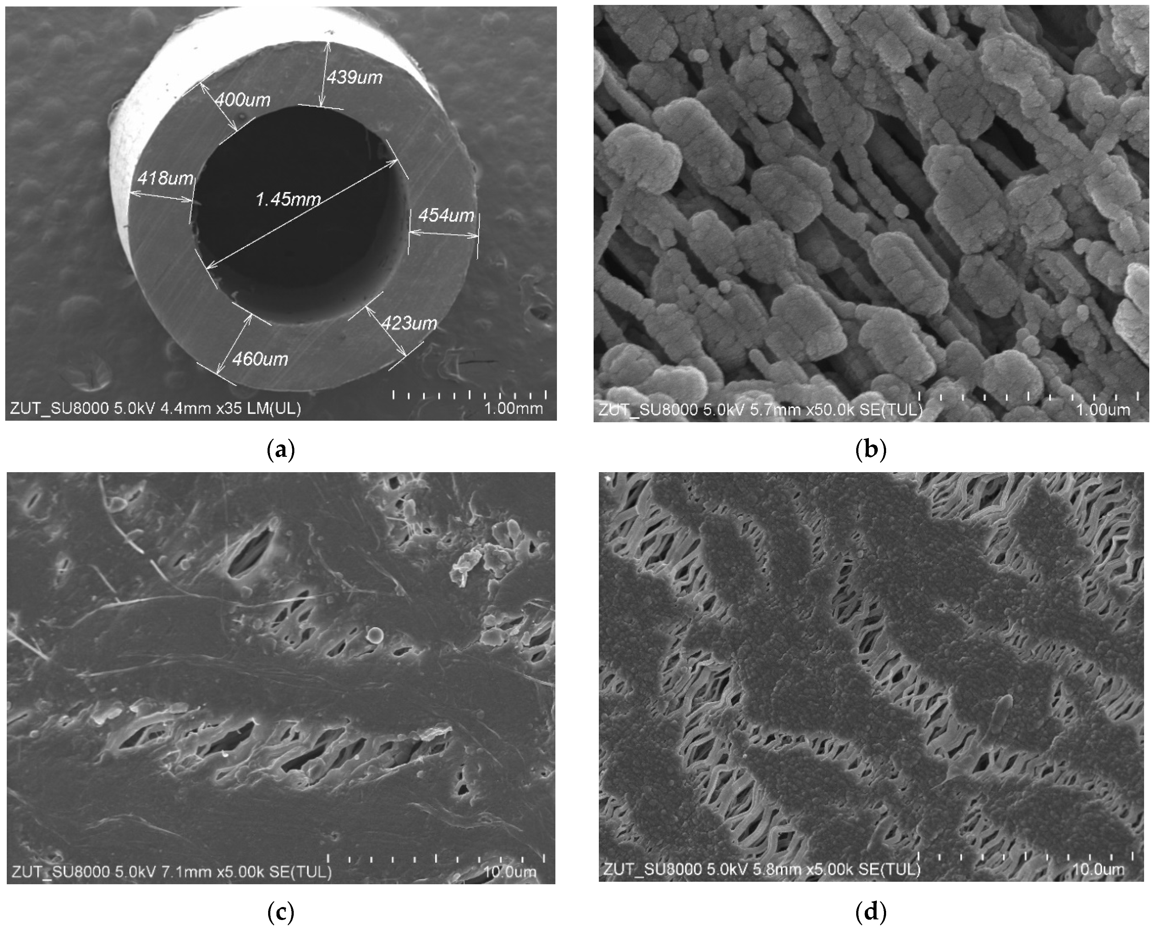 Membranes 13 00080 g002