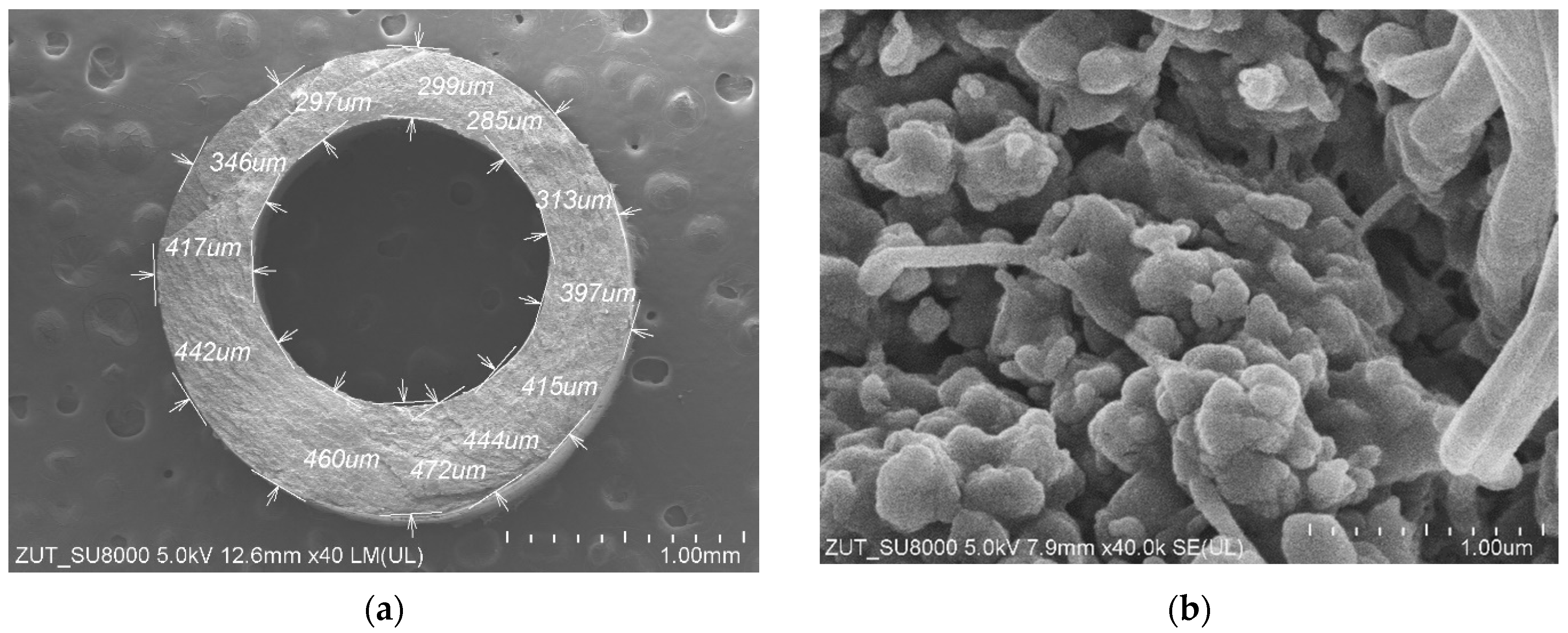 Membranes 13 00080 g004a