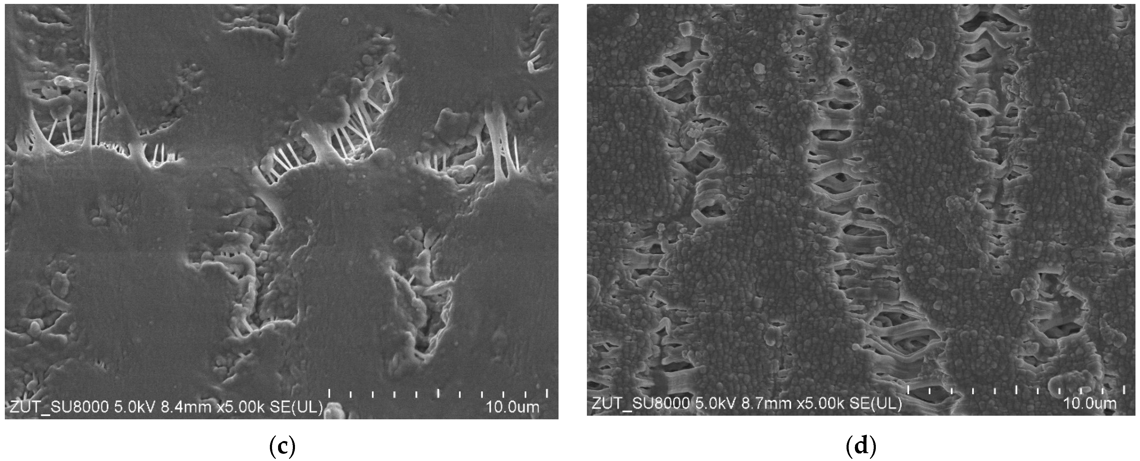 Membranes 13 00080 g004b