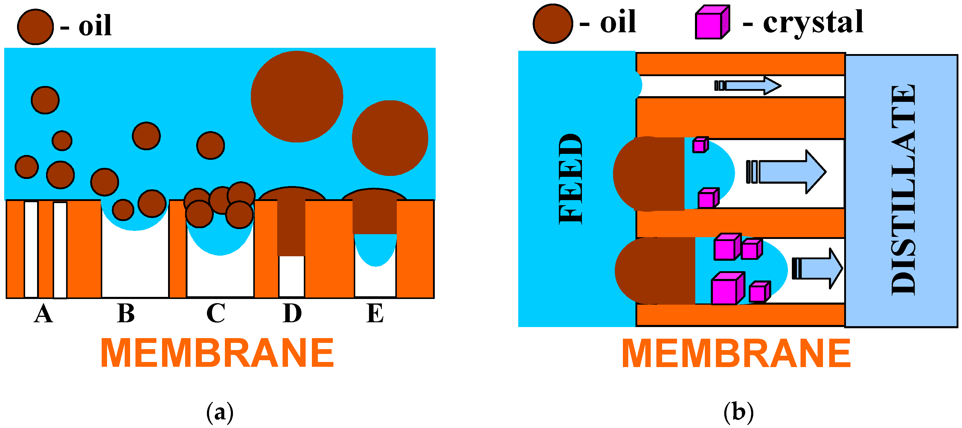 Membranes 13 00080 g014