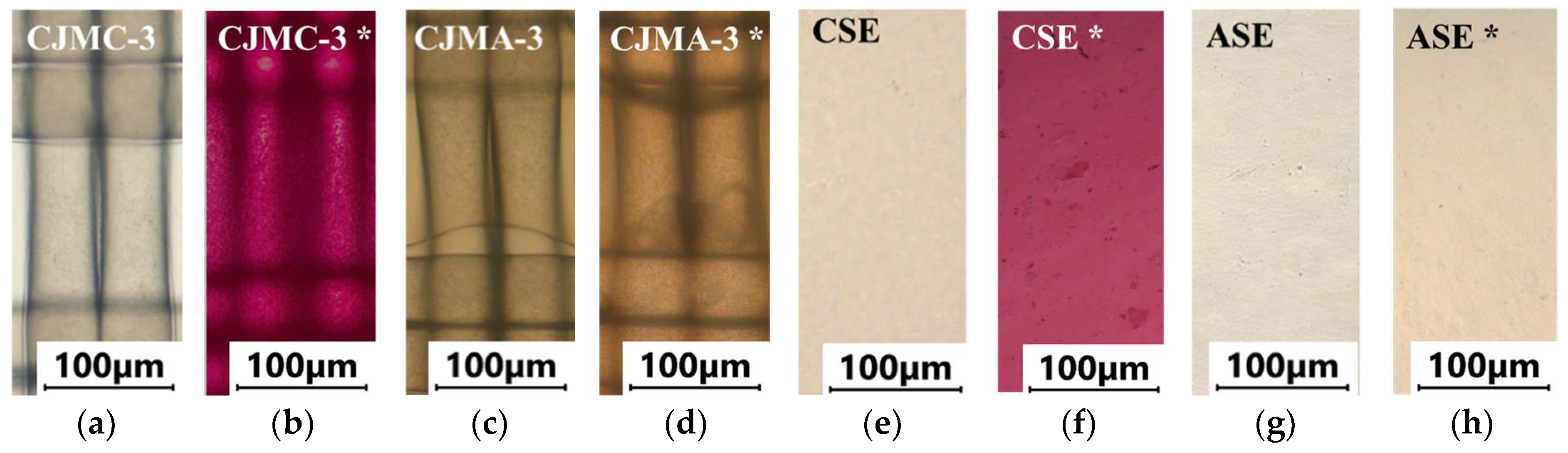 Membranes 13 00084 g004