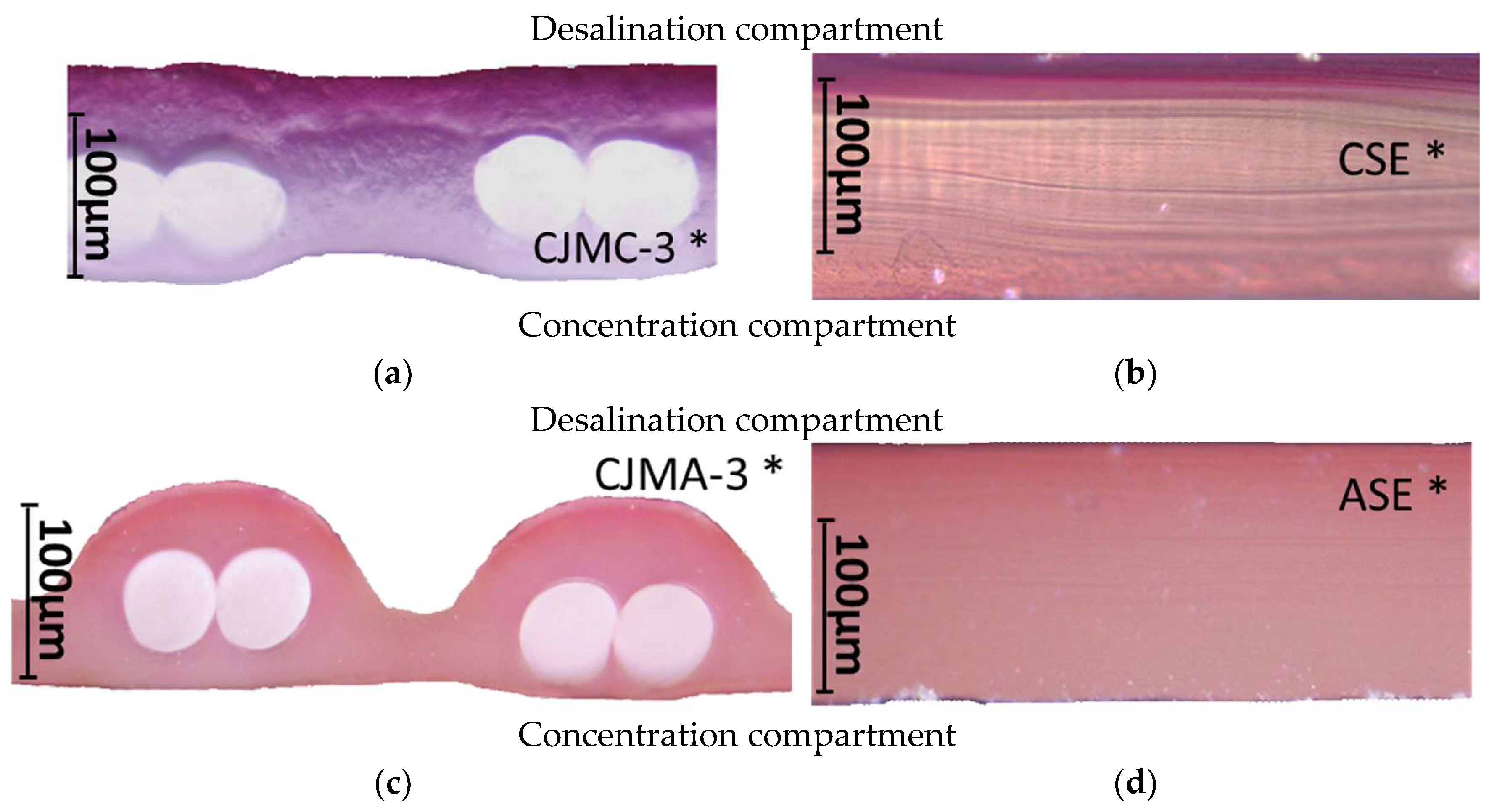 Membranes 13 00084 g005