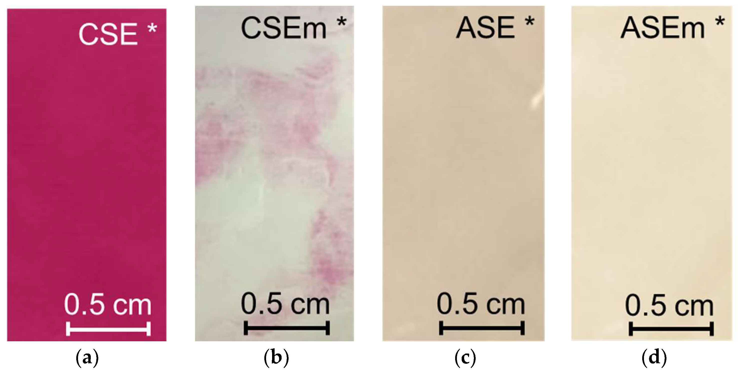 Membranes 13 00084 g010