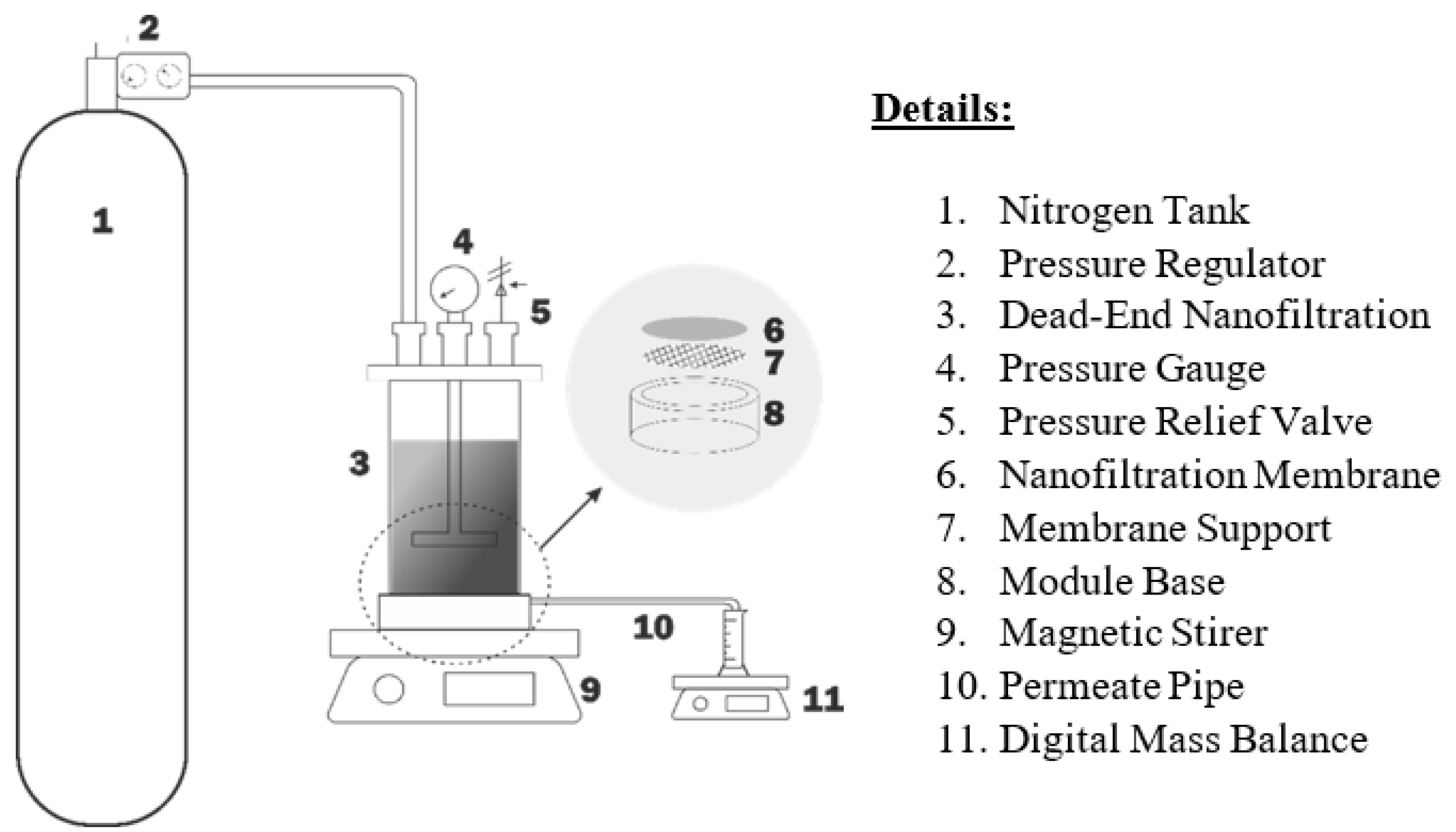 Membranes 13 00086 g001