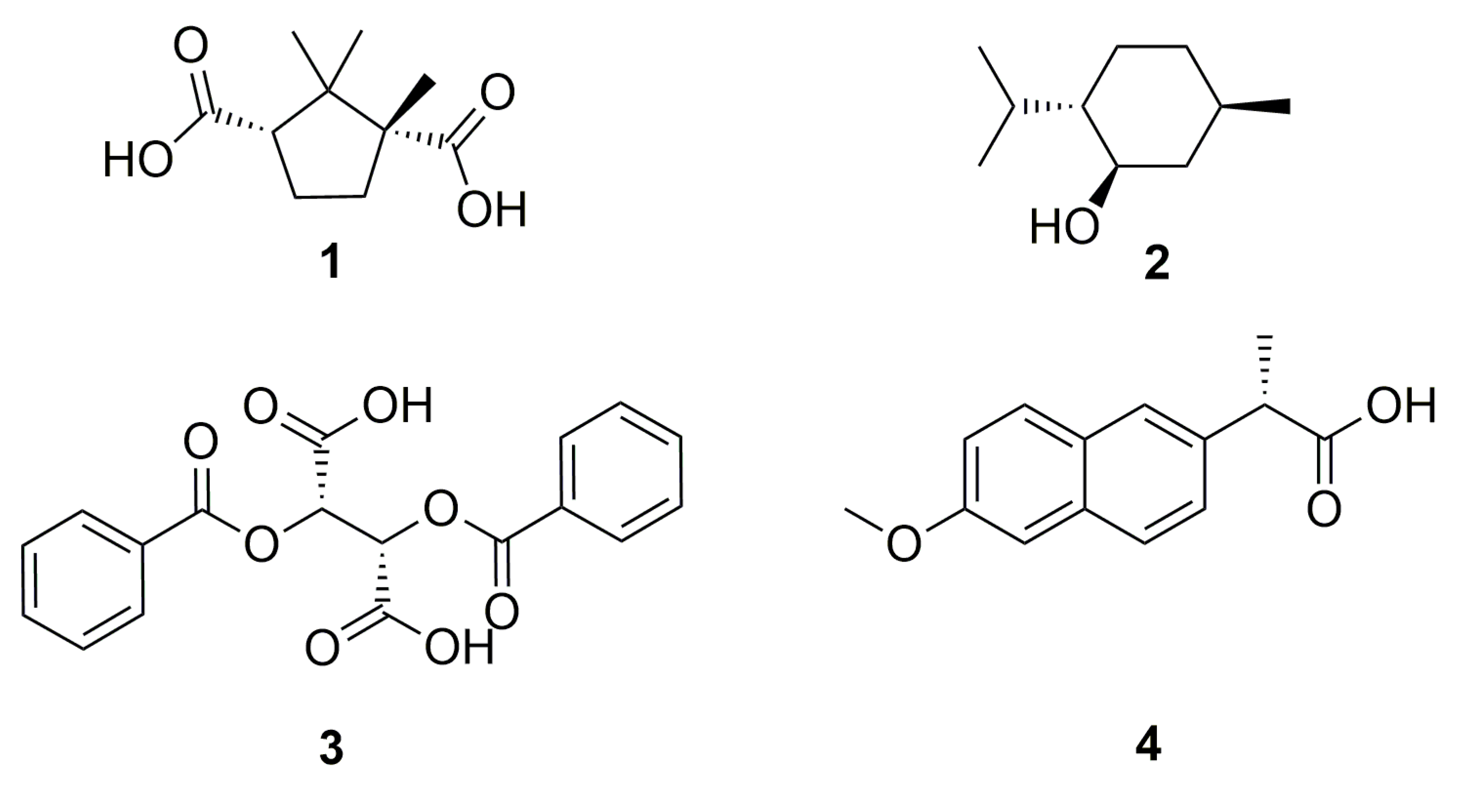 Membranes 13 00094 g001
