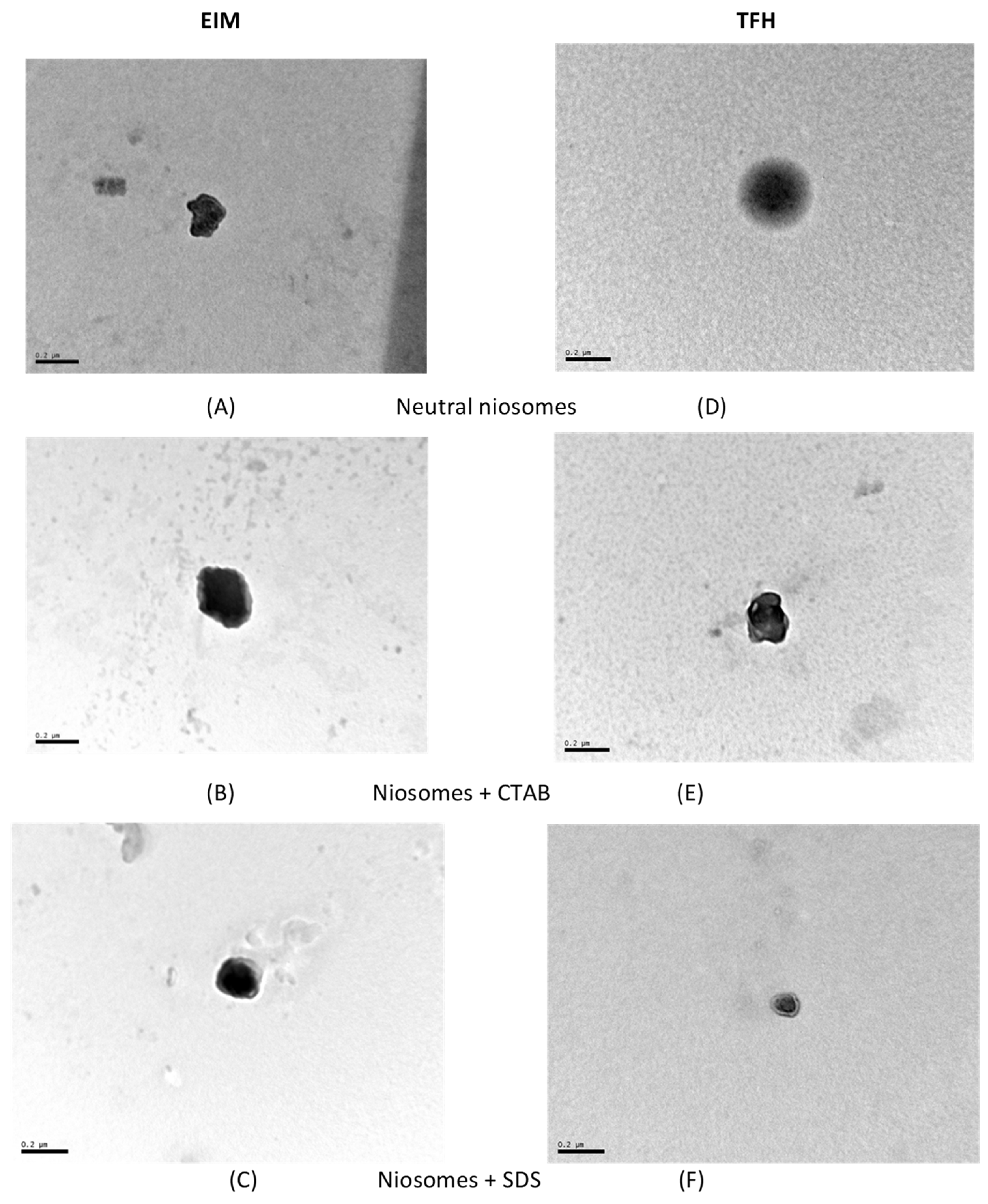 Membranes 13 00095 g003