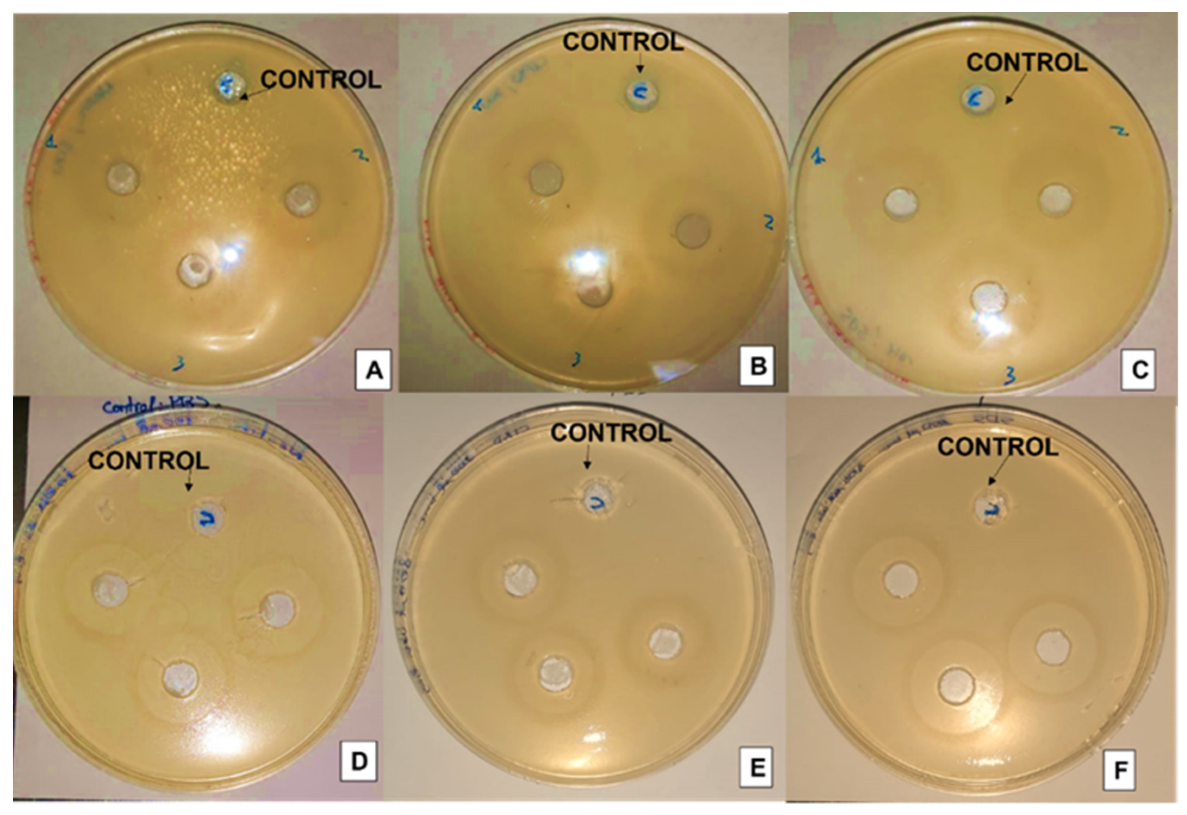 Membranes 13 00095 g005