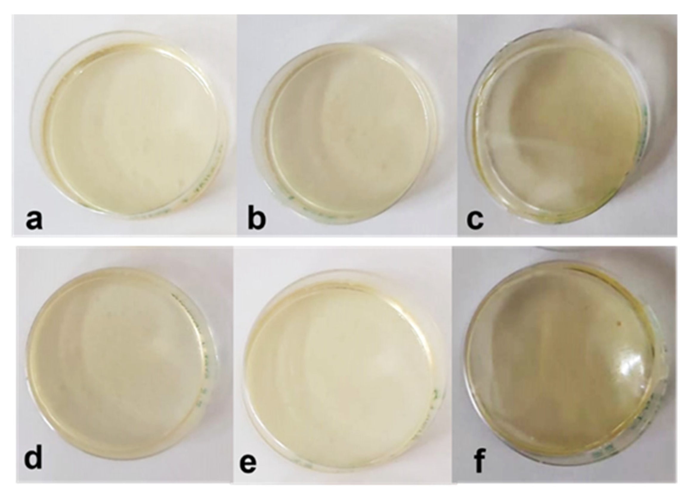 Membranes 13 00095 g008
