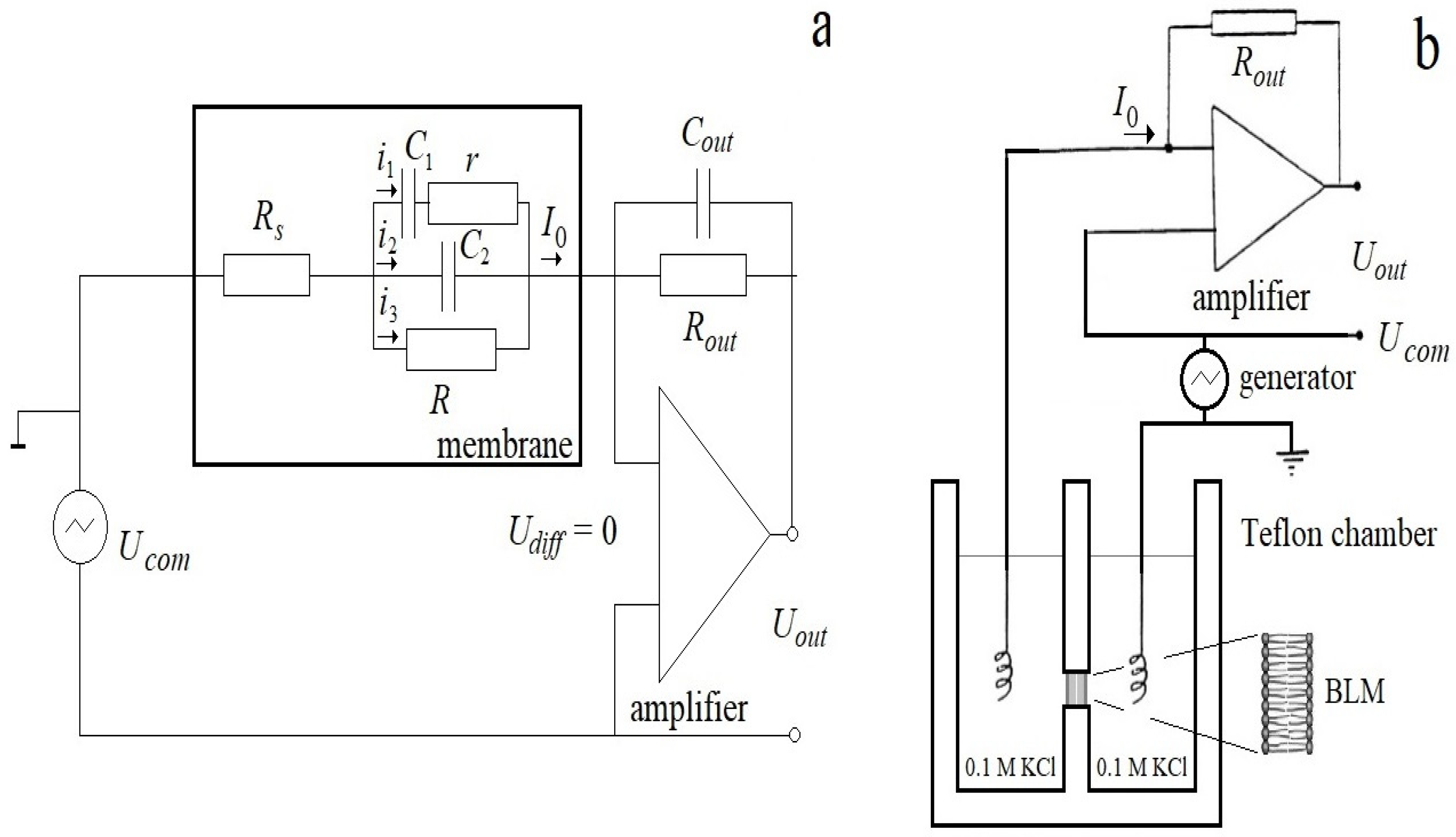 Membranes 13 00097 g002