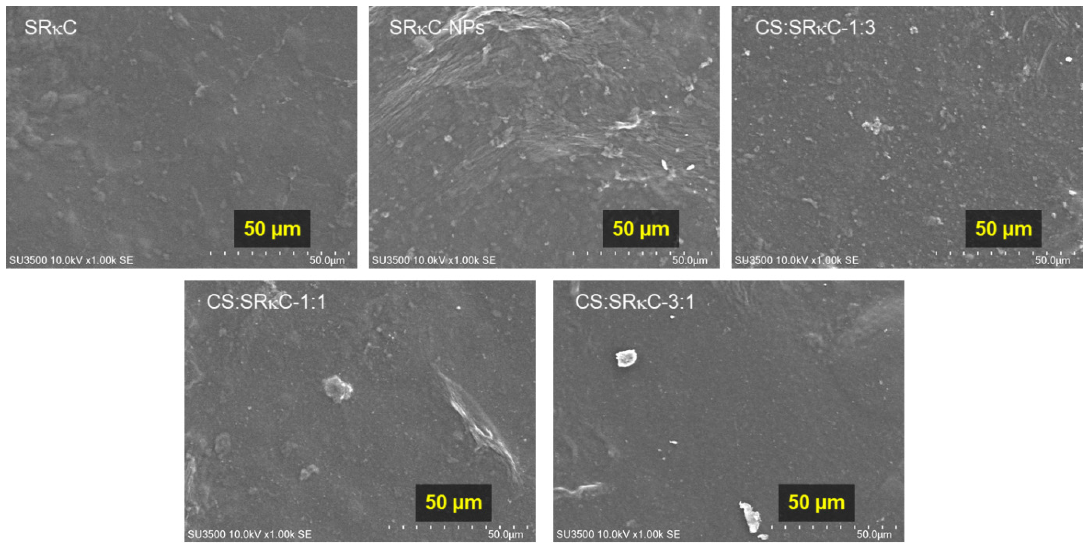 Membranes 13 00100 g004 Membranes 13 00100 g004