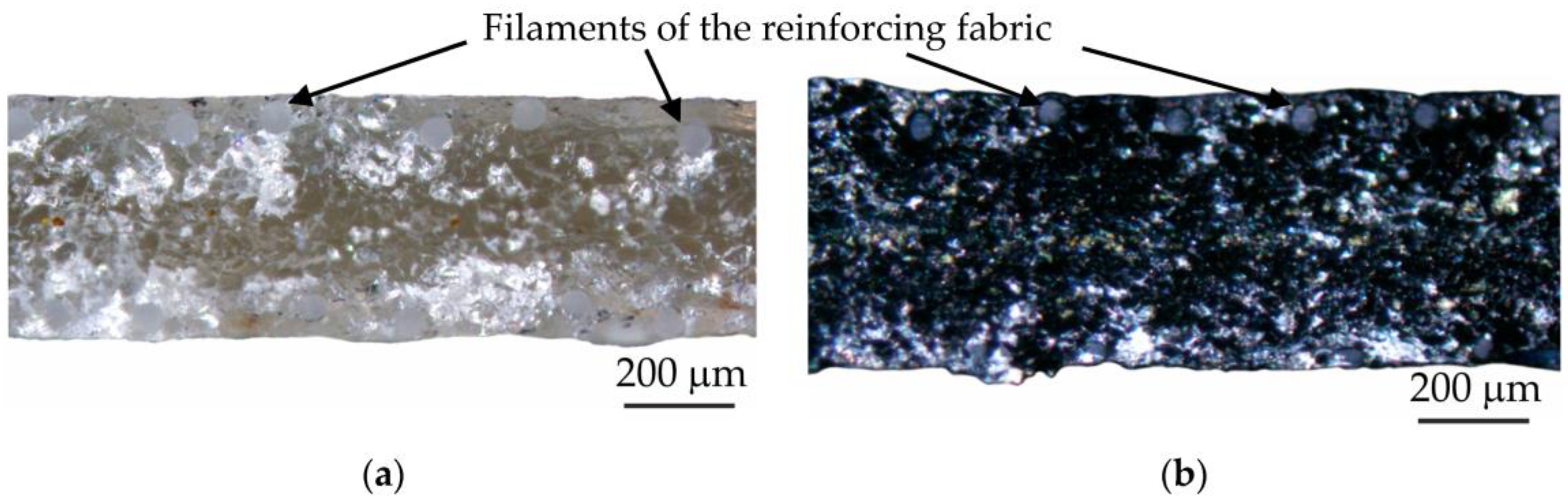 Membranes 13 00103 g001
