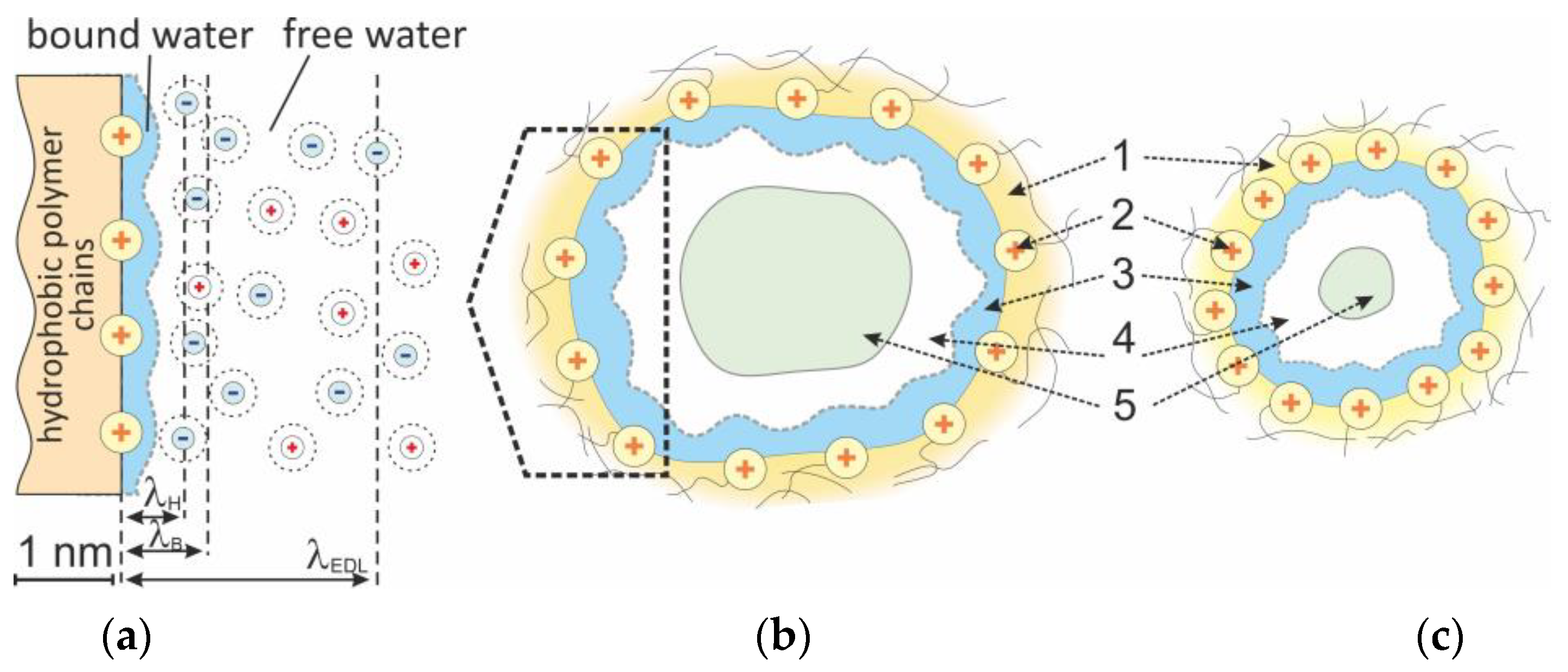 Membranes 13 00103 g003