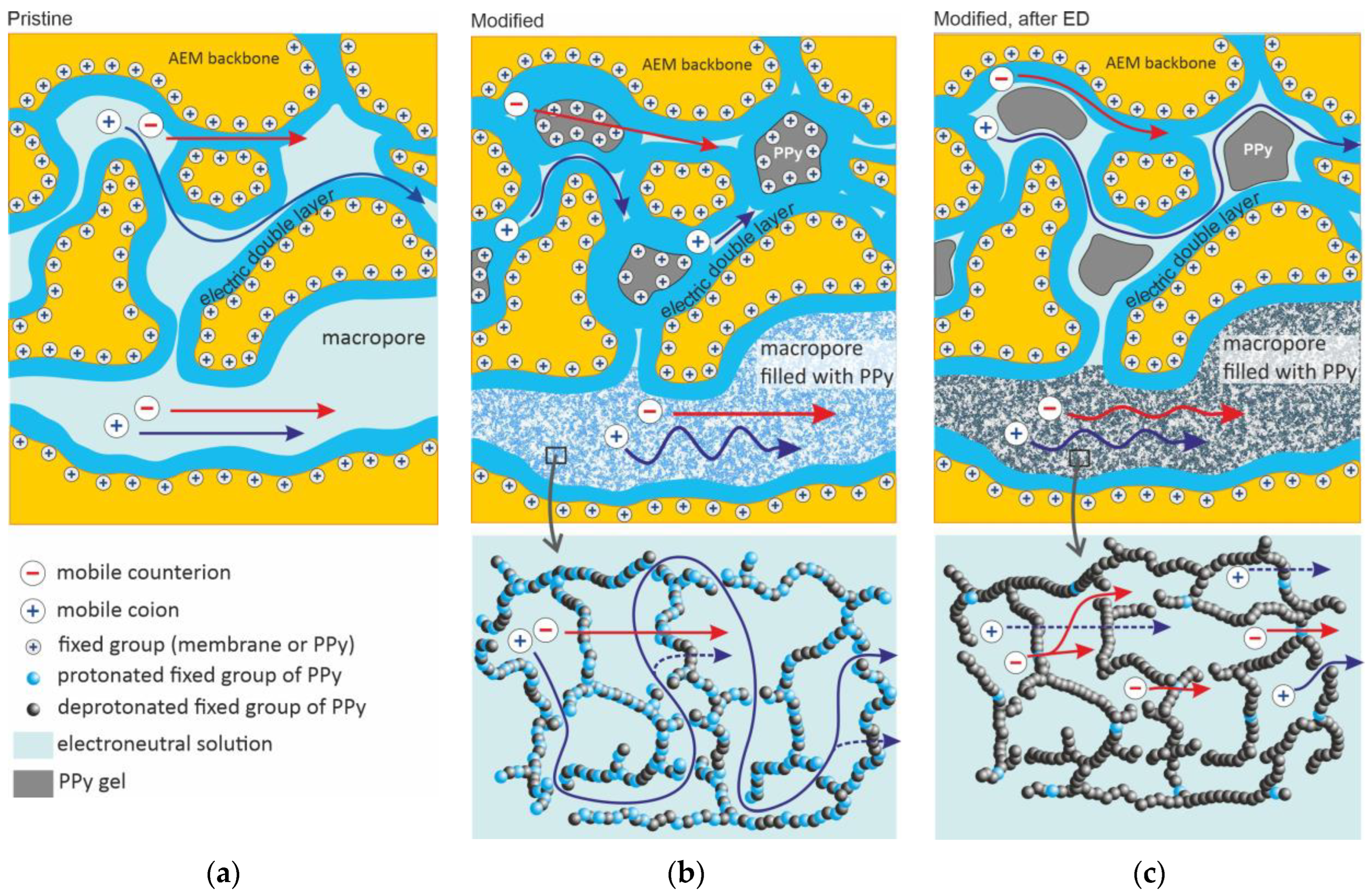 Membranes 13 00103 g005