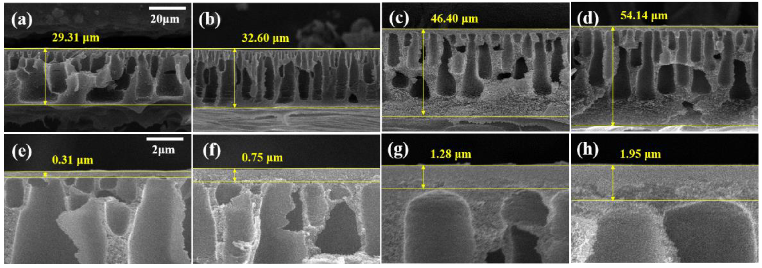 Membranes 13 00104 g003 Membranes 13 00104 g003