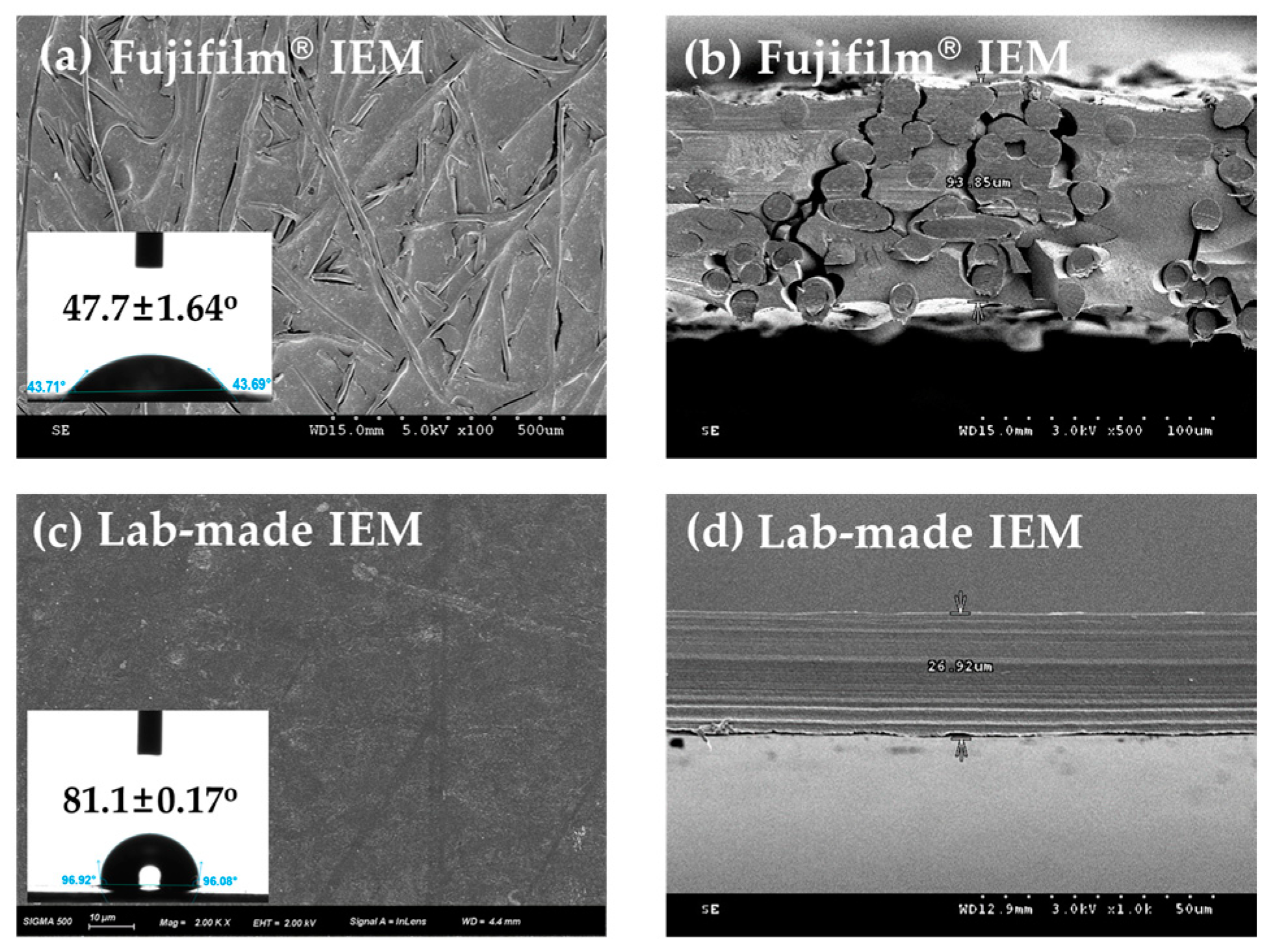 Membranes 13 00106 g003 Membranes 13 00106 g003