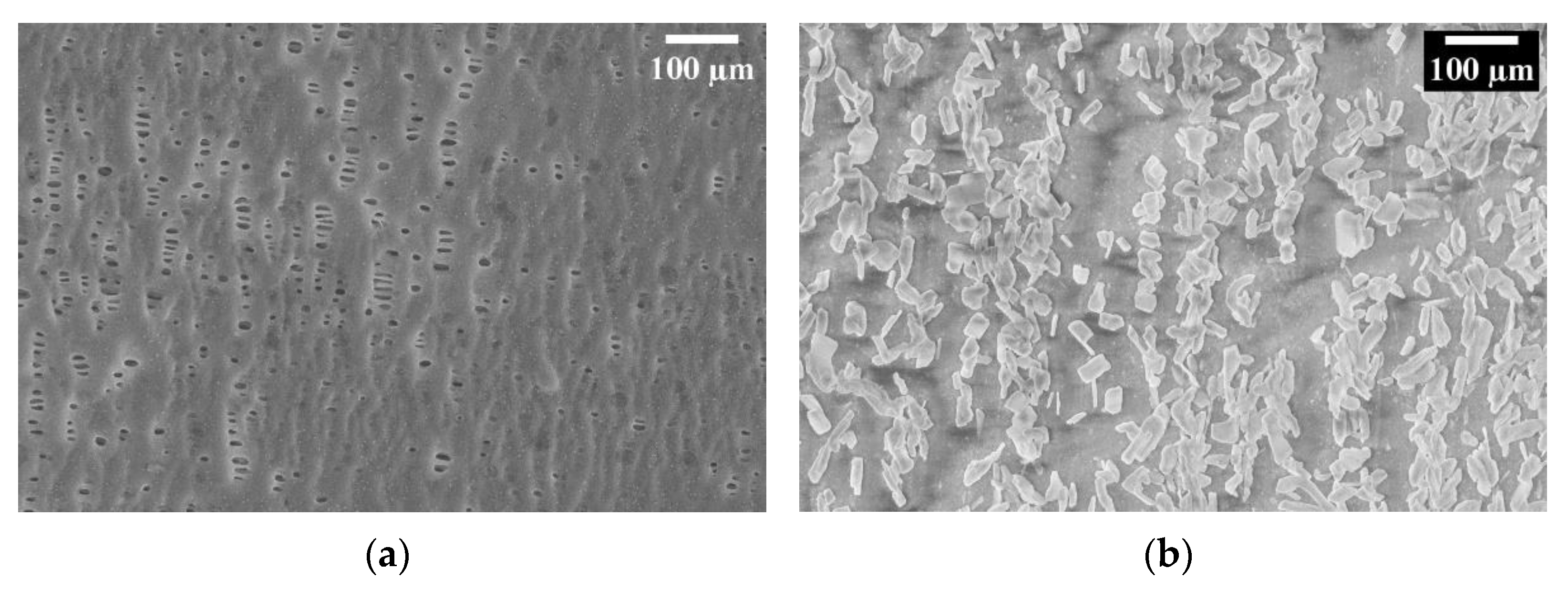 Membranes 13 00109 g005
