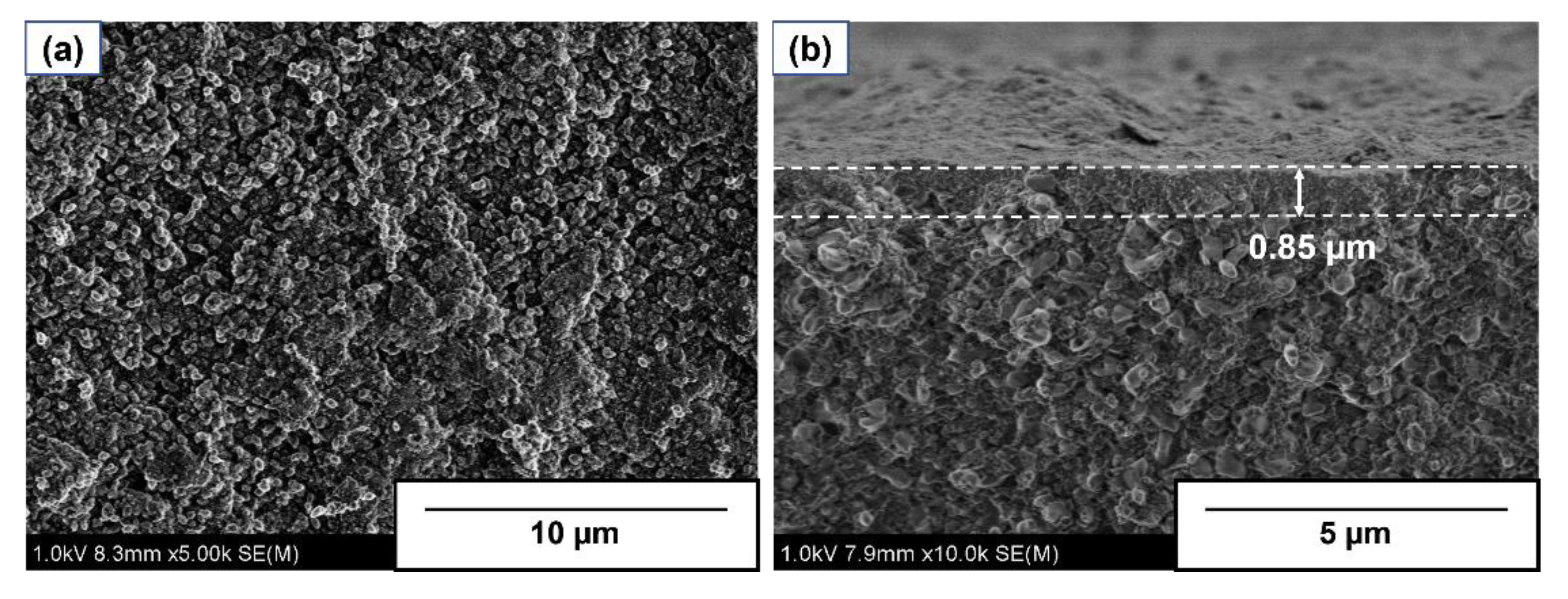 Membranes 13 00111 g002 Membranes 13 00111 g002