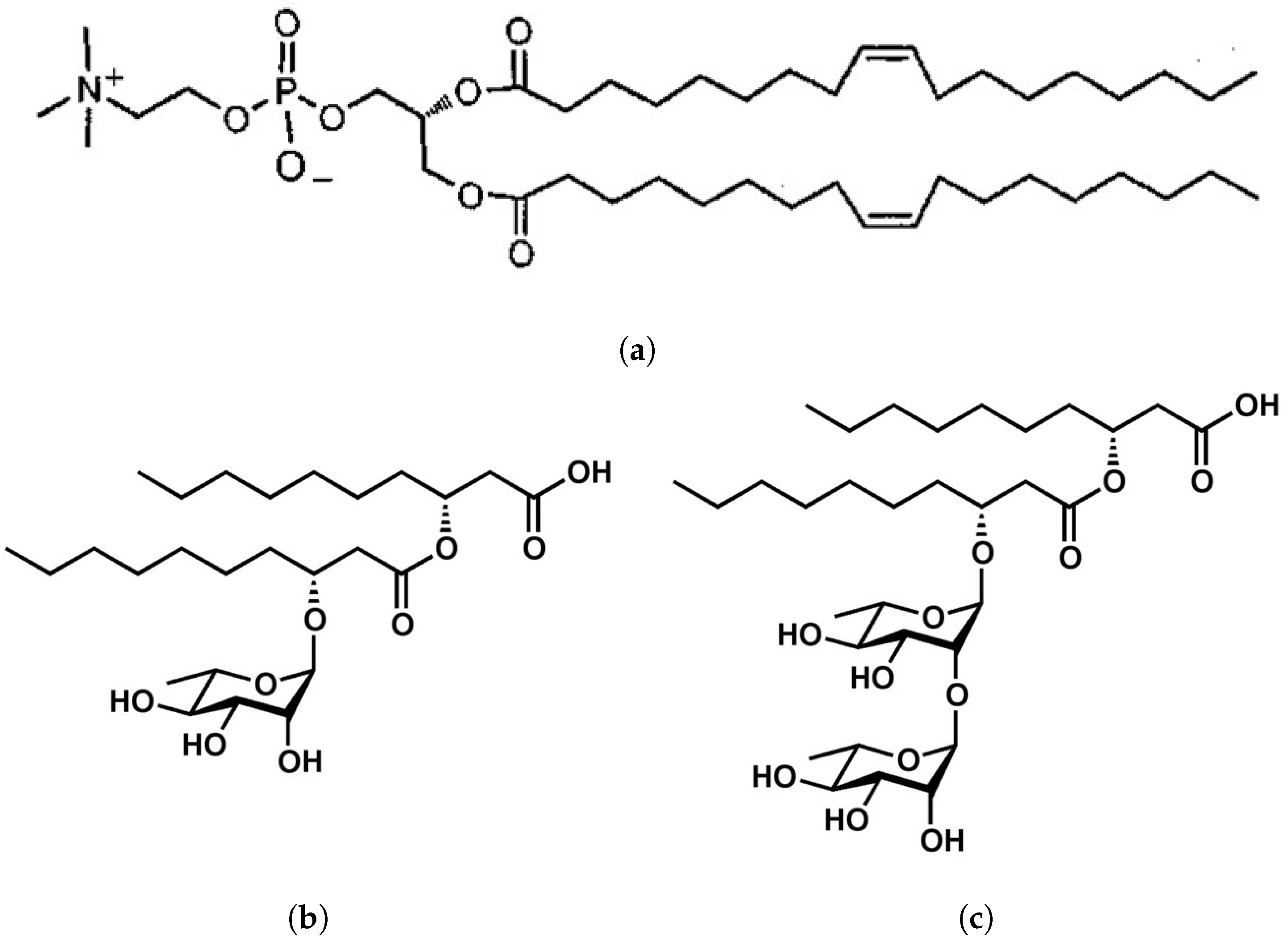 Membranes 13 00112 g001