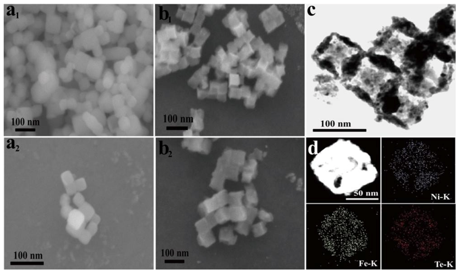 Membranes 13 00113 g005